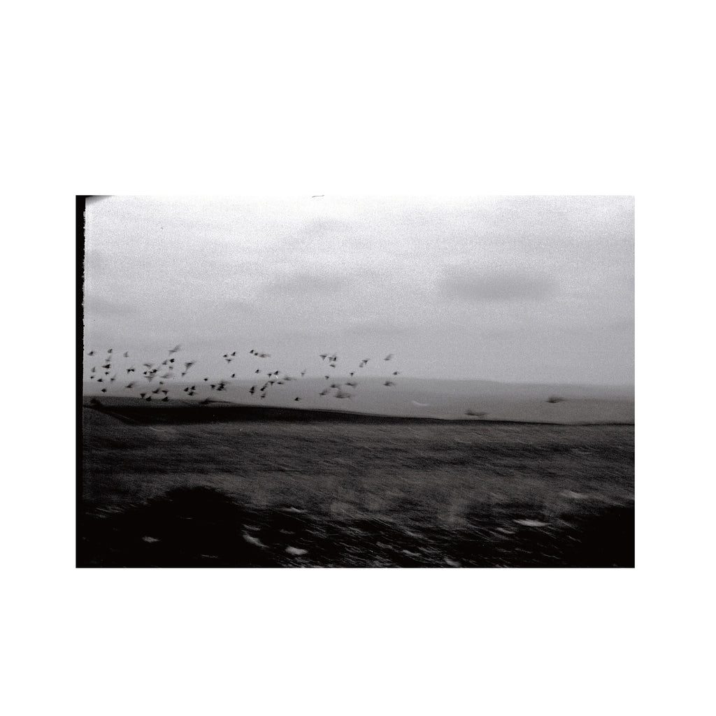 Kentmere PAN 100