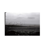 Kentmere PAN 100