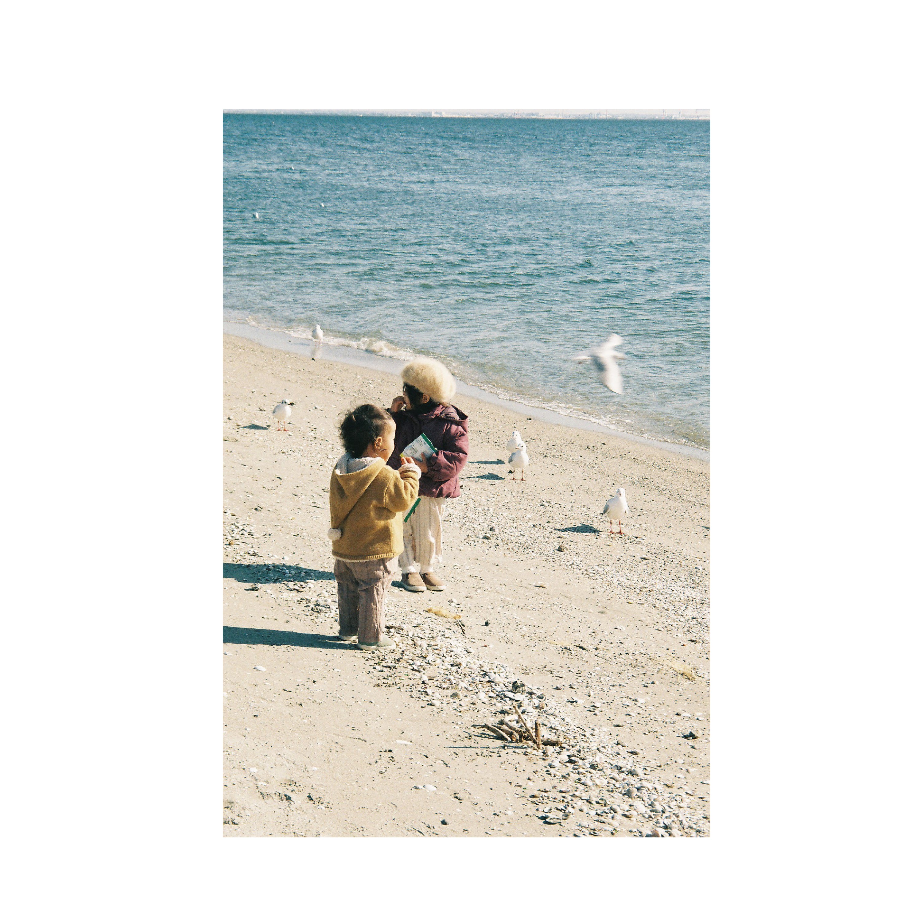 Pentax Espio 120SWii (Silver)