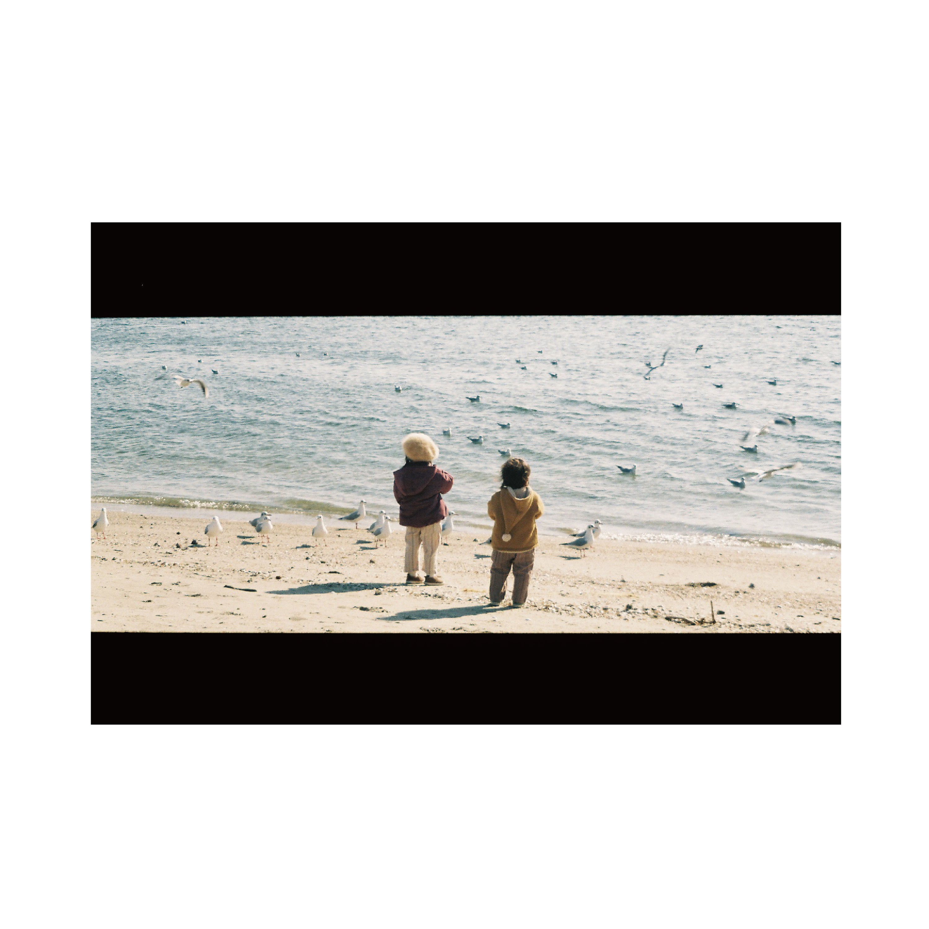 Pentax Espio 120SWii (Silver)