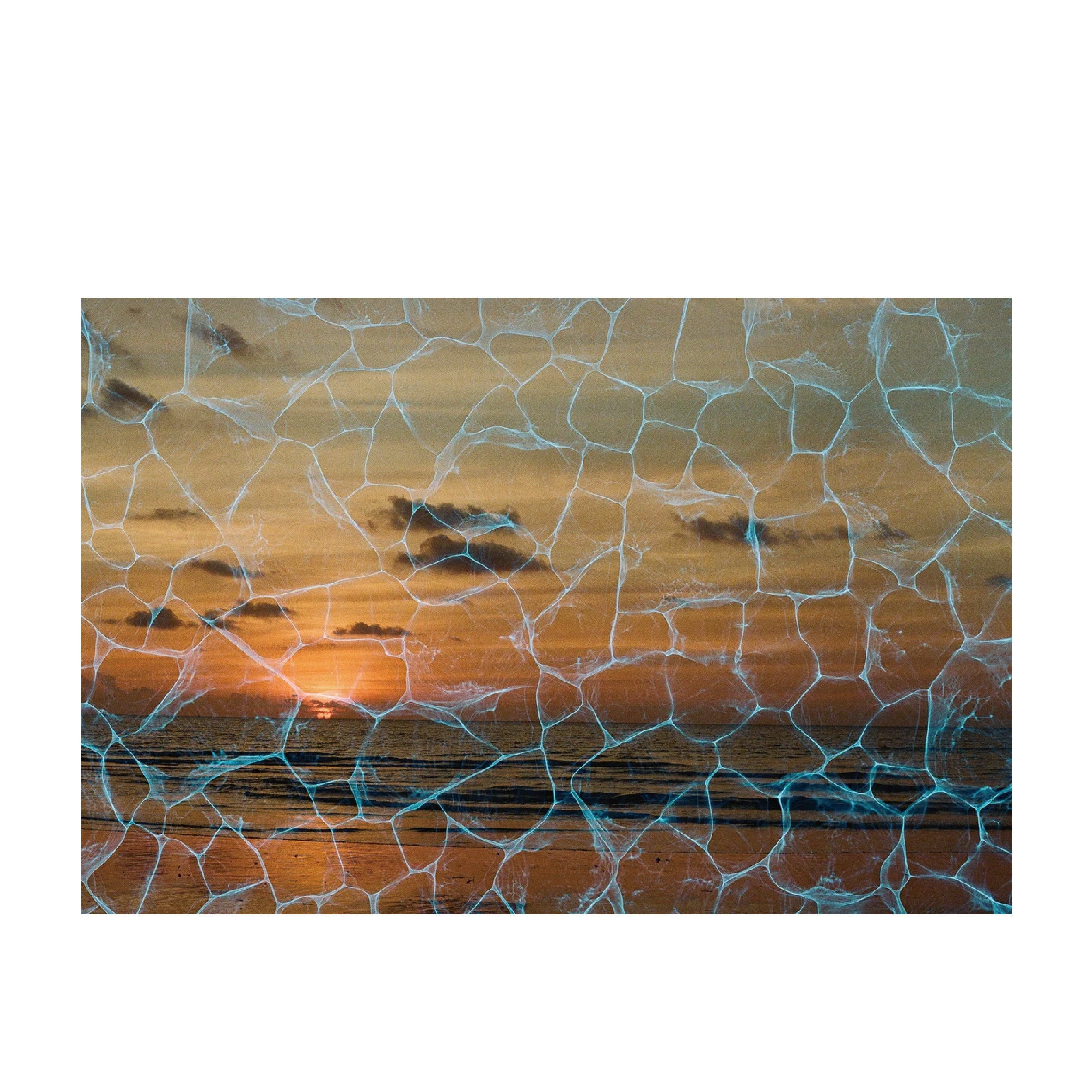 Revolog plexus 200-400