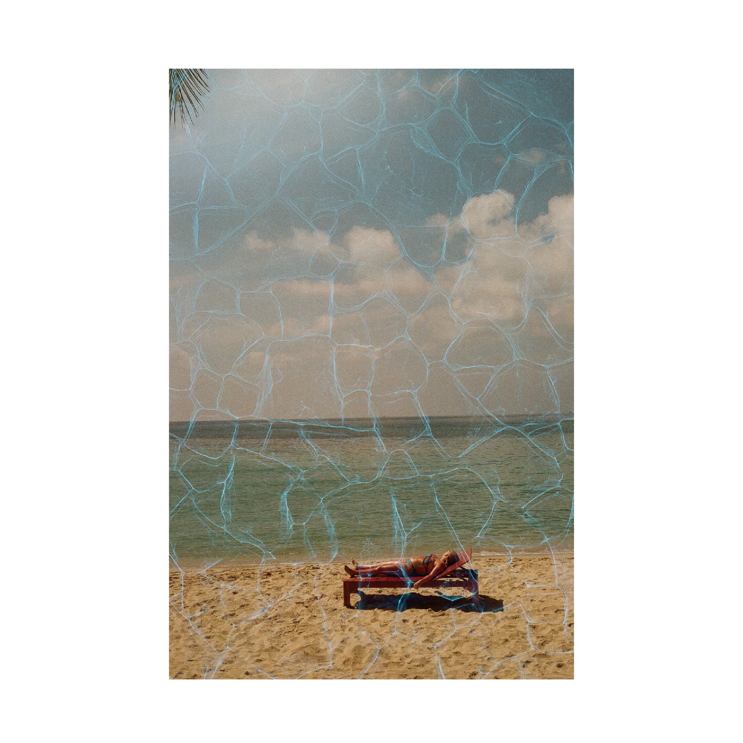 Revolog plexus 200-400