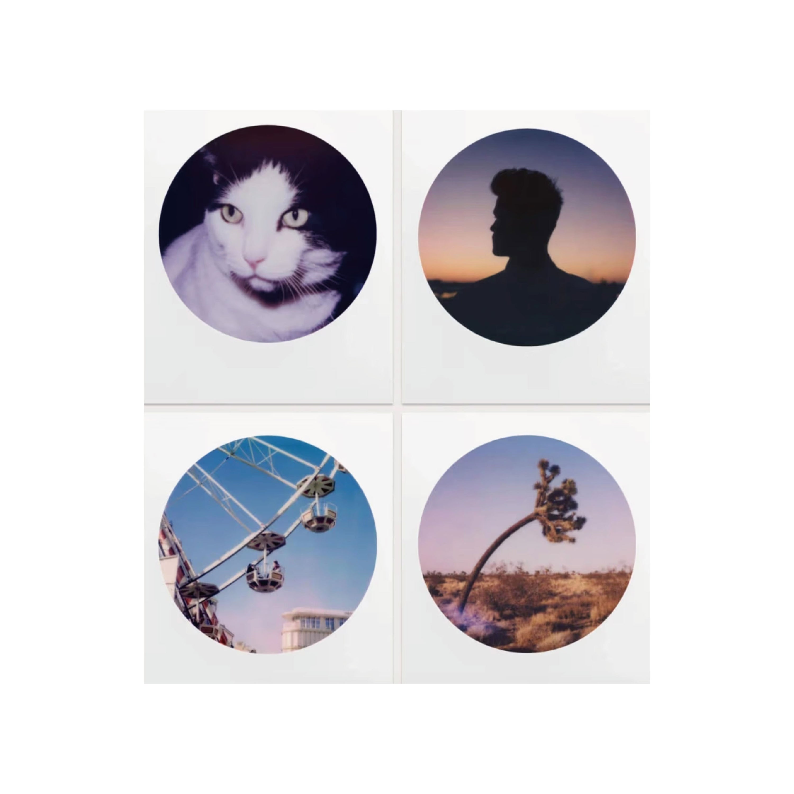 Polaroid Color 600 Round Frame Edition