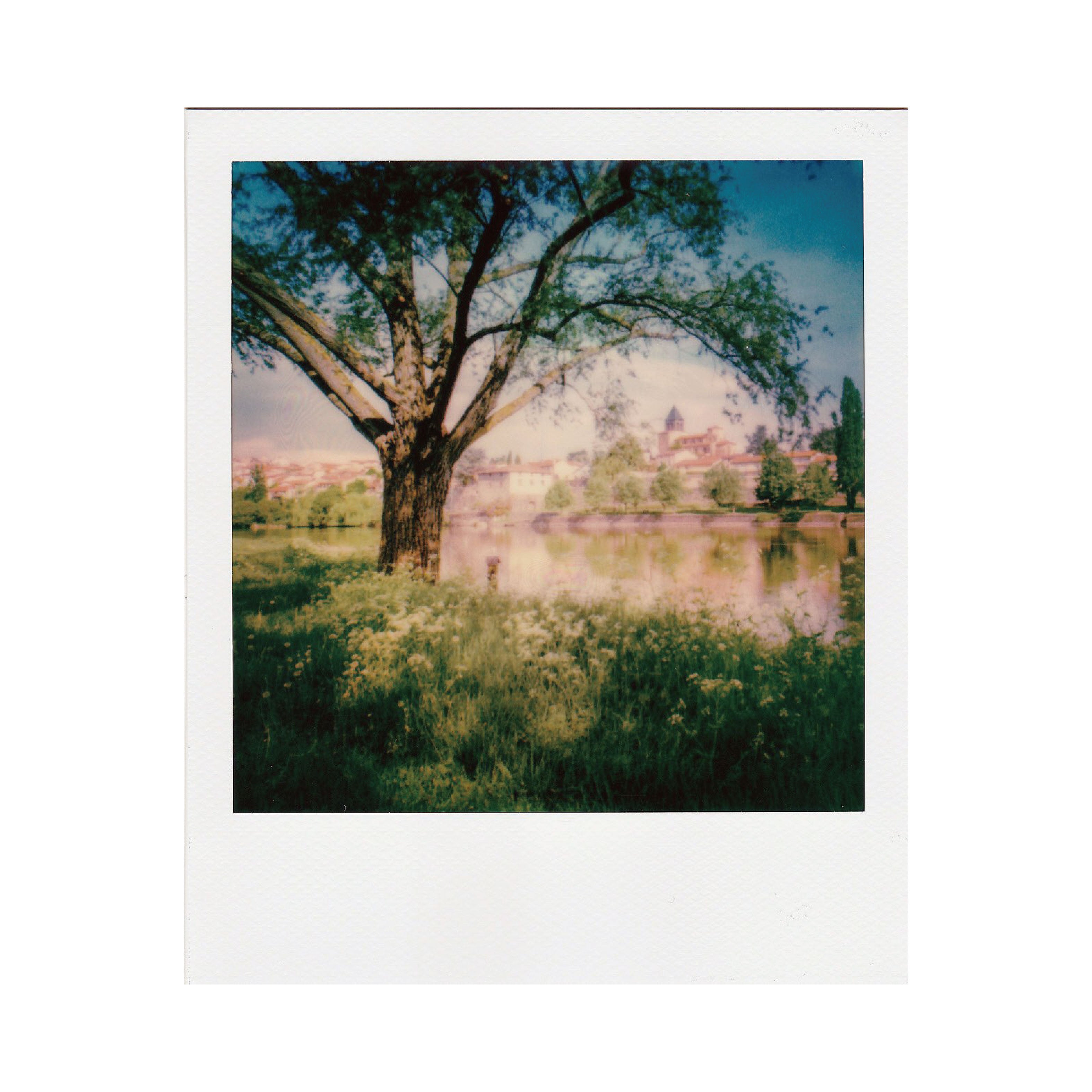 Polaroid Color i-Type Film 白邊 (White boarder)