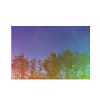 Hanalogital Prism 200