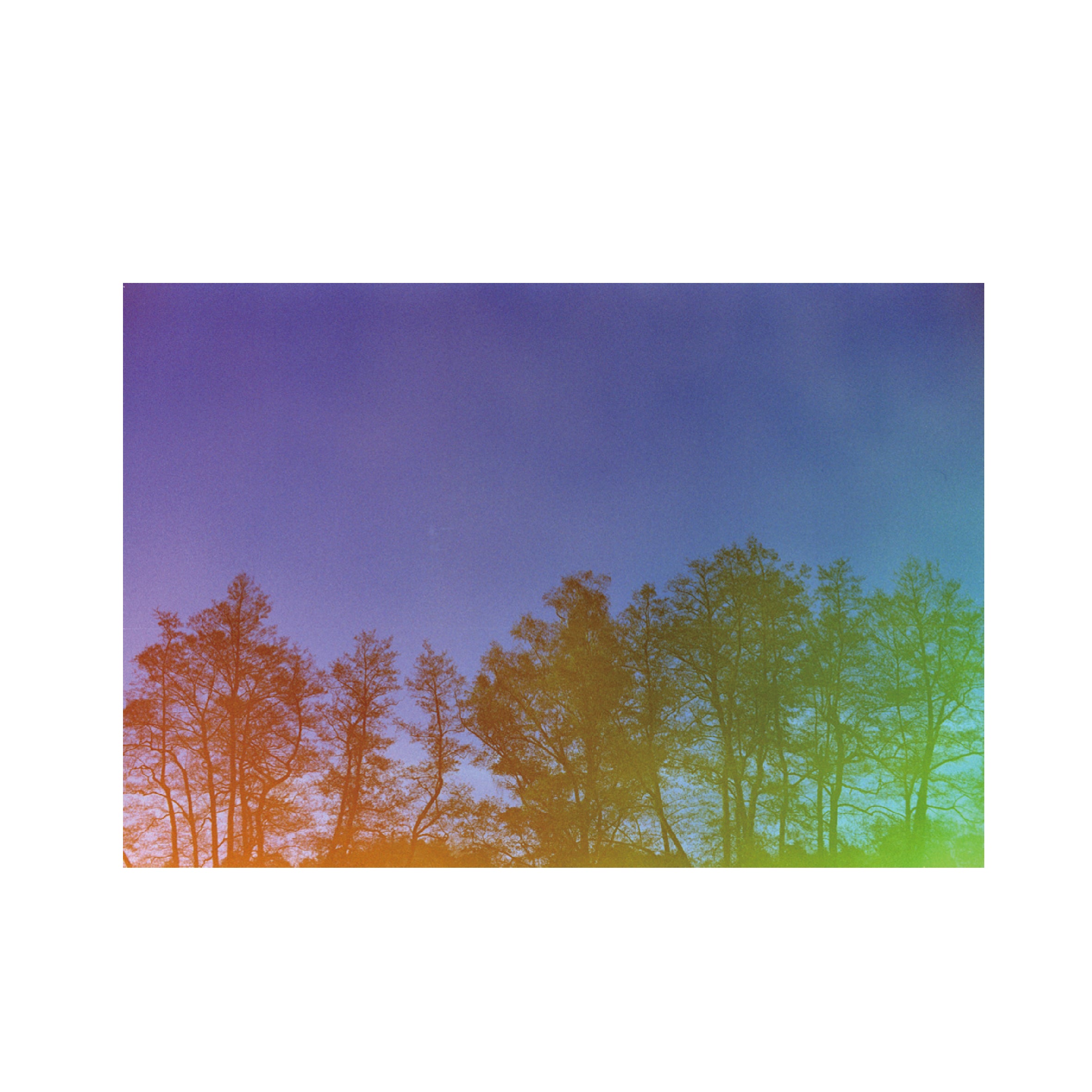 Hanalogital Prism 200