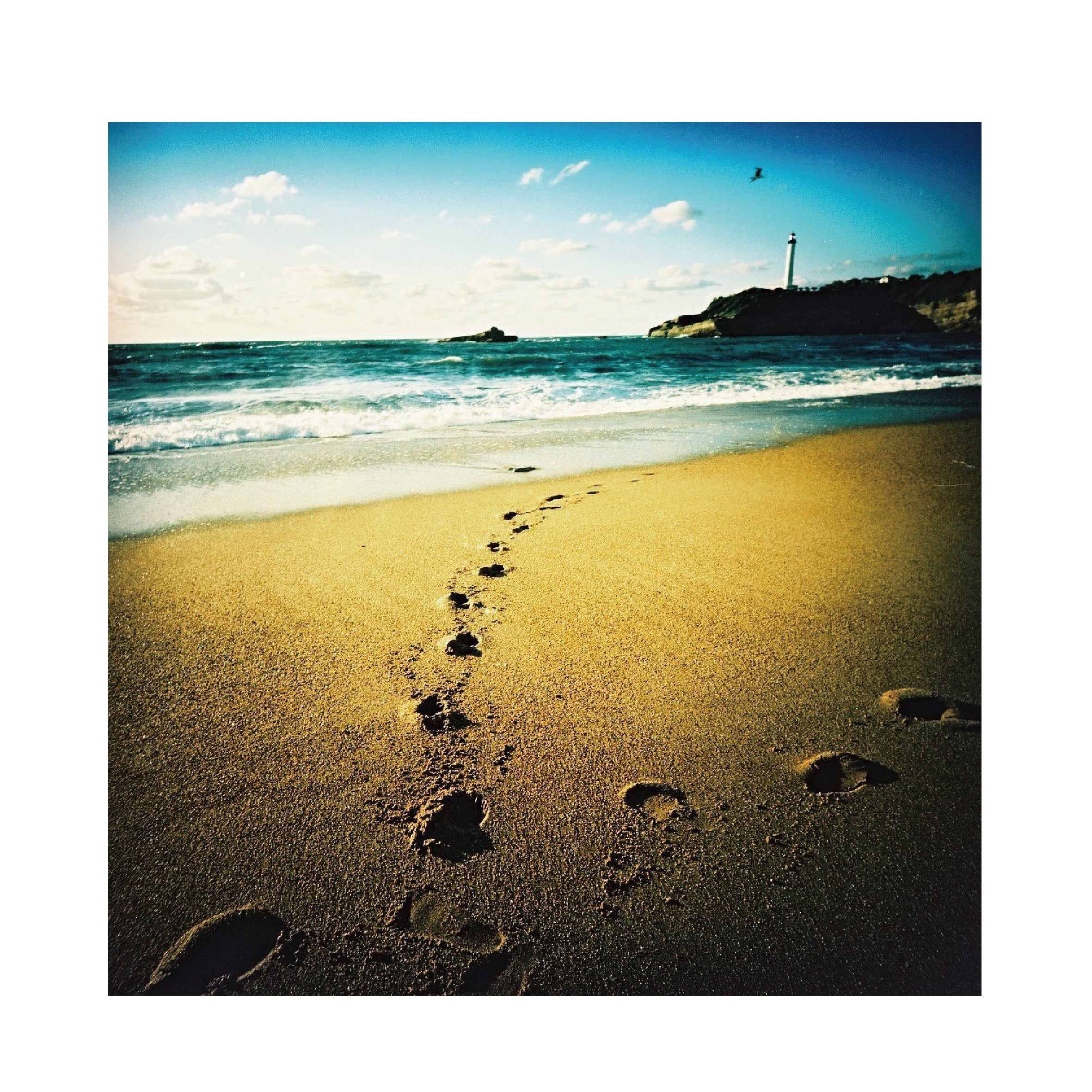 Fujifilm Fujichrome Provia100F 120 format (5 Rolls Package)