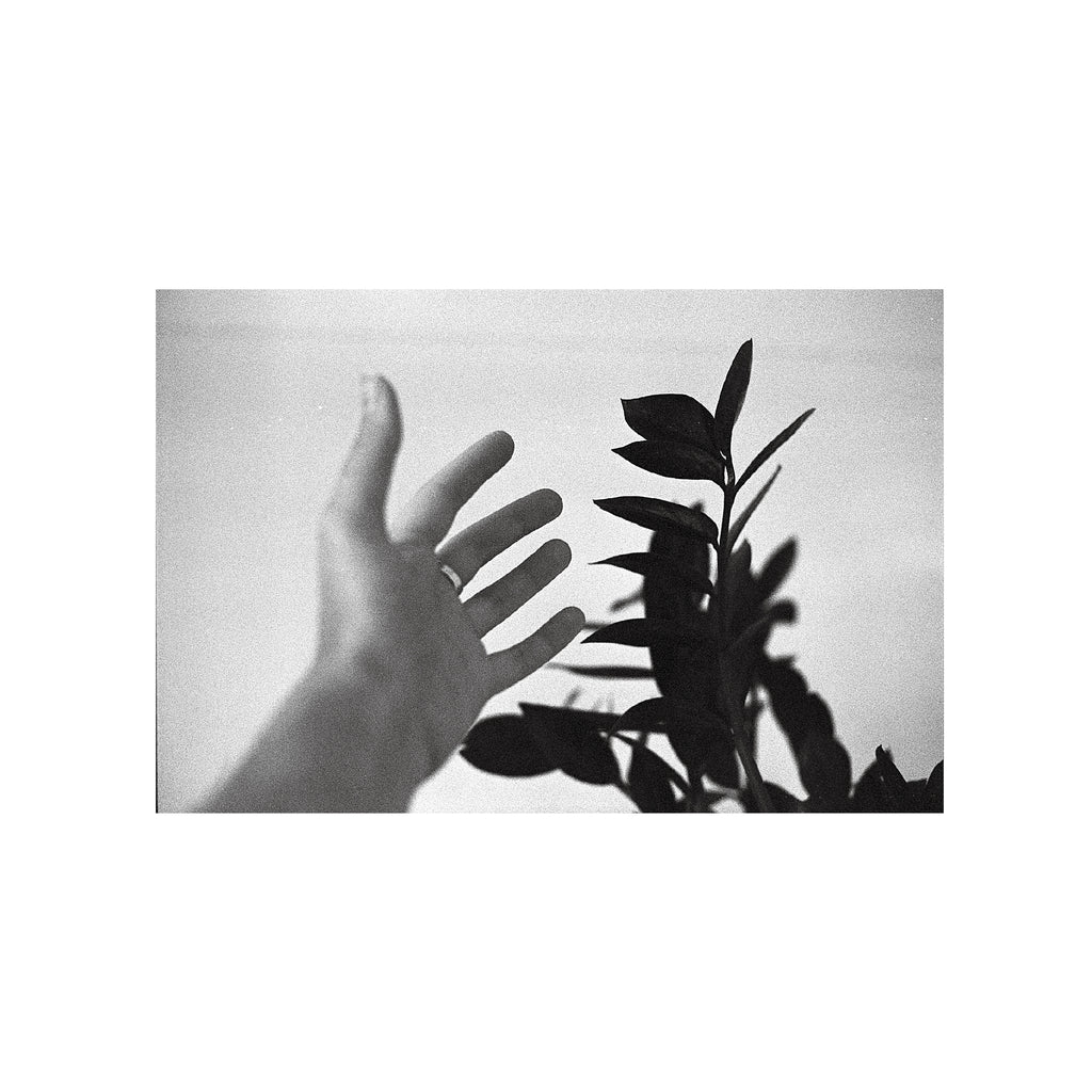 Rollei Retro 400S