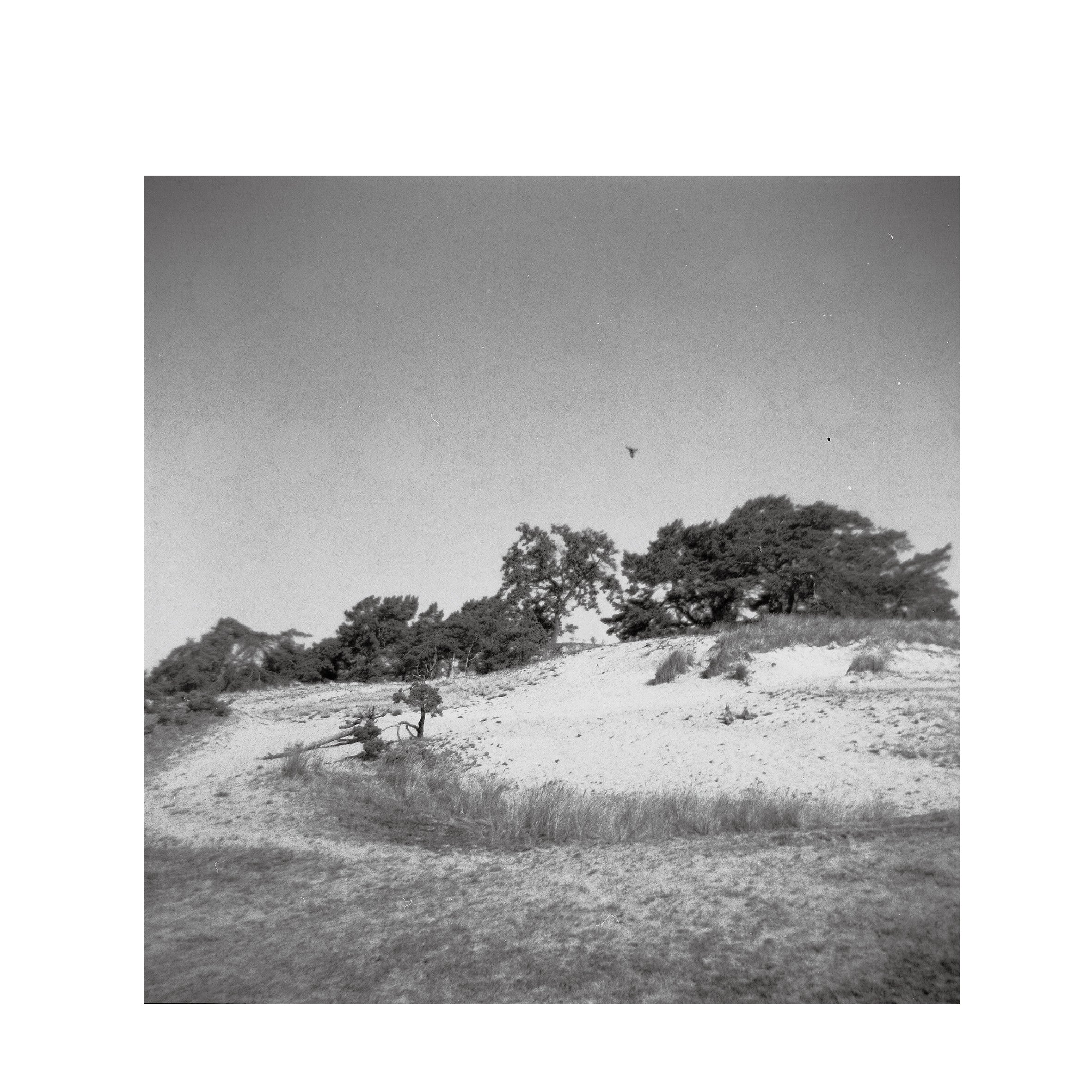 Rollei Retro 80S B&W 120 Format