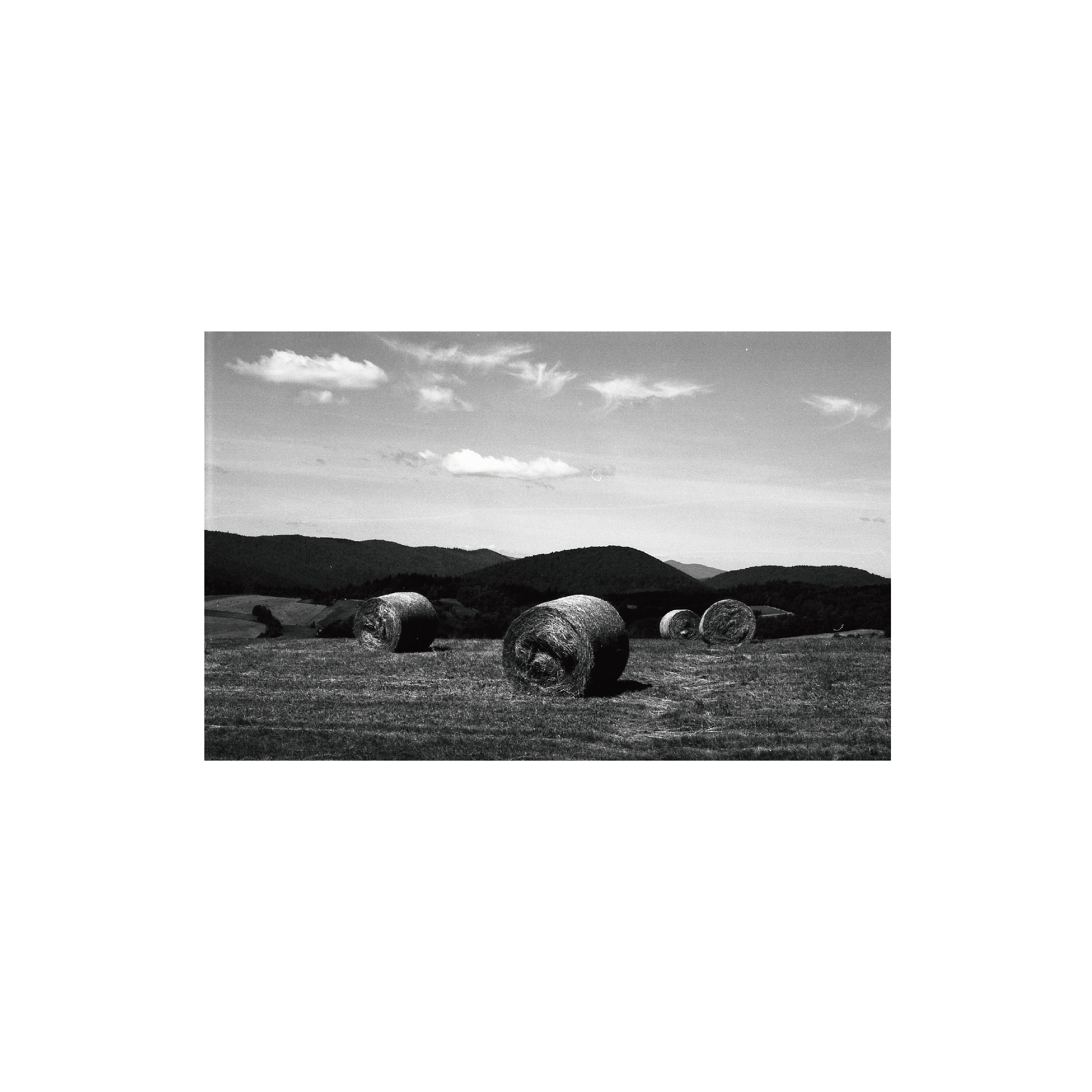 Rollei Retro 80S