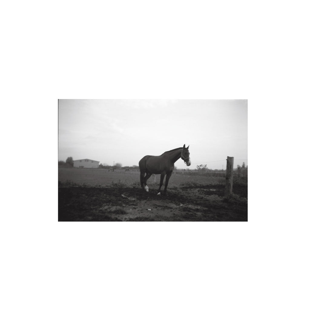 Rollei Retro 80S