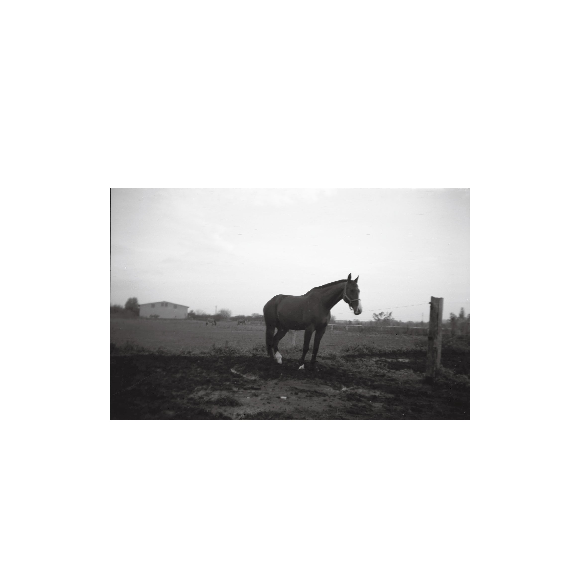 Rollei Retro 80S