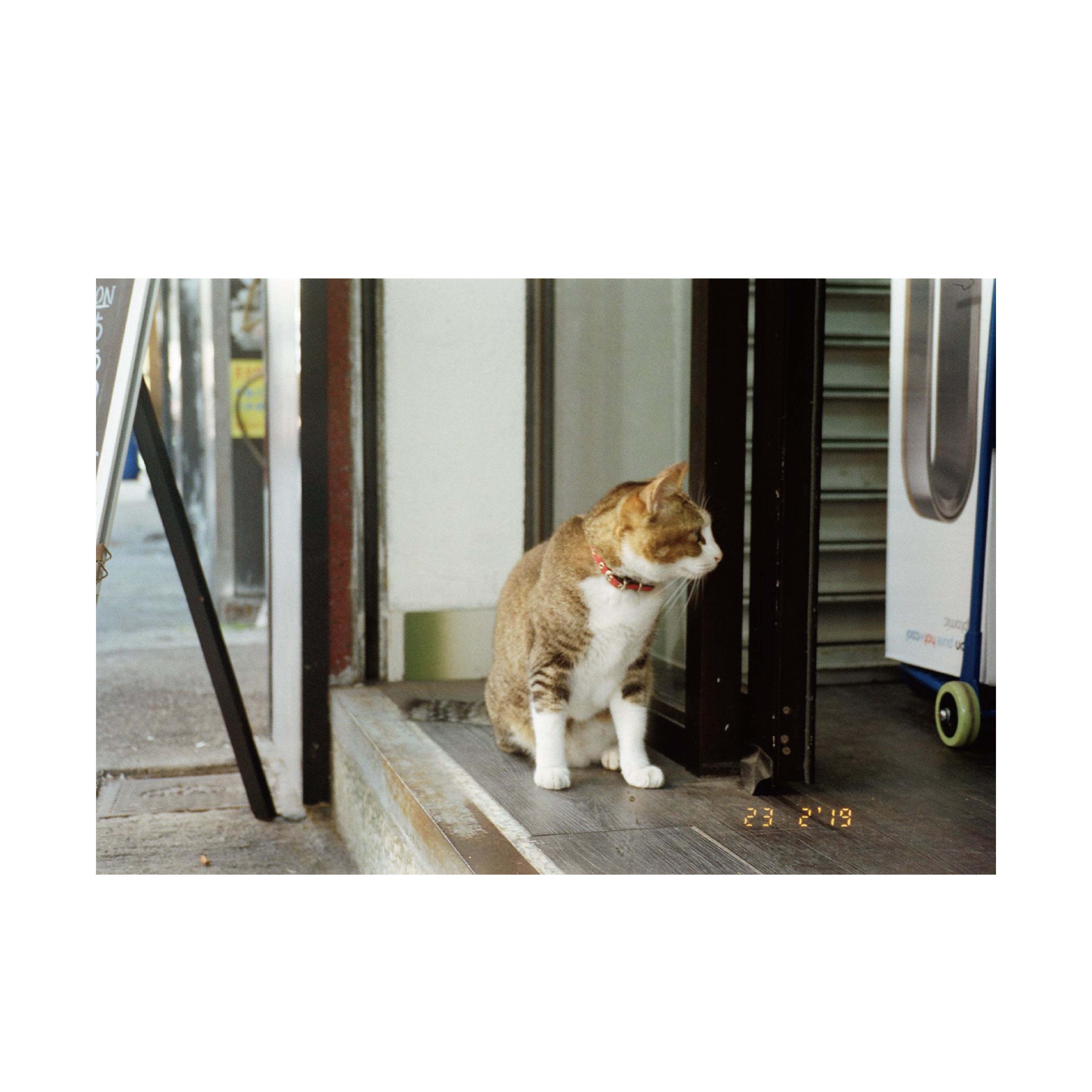 Ricoh Myport Mini P