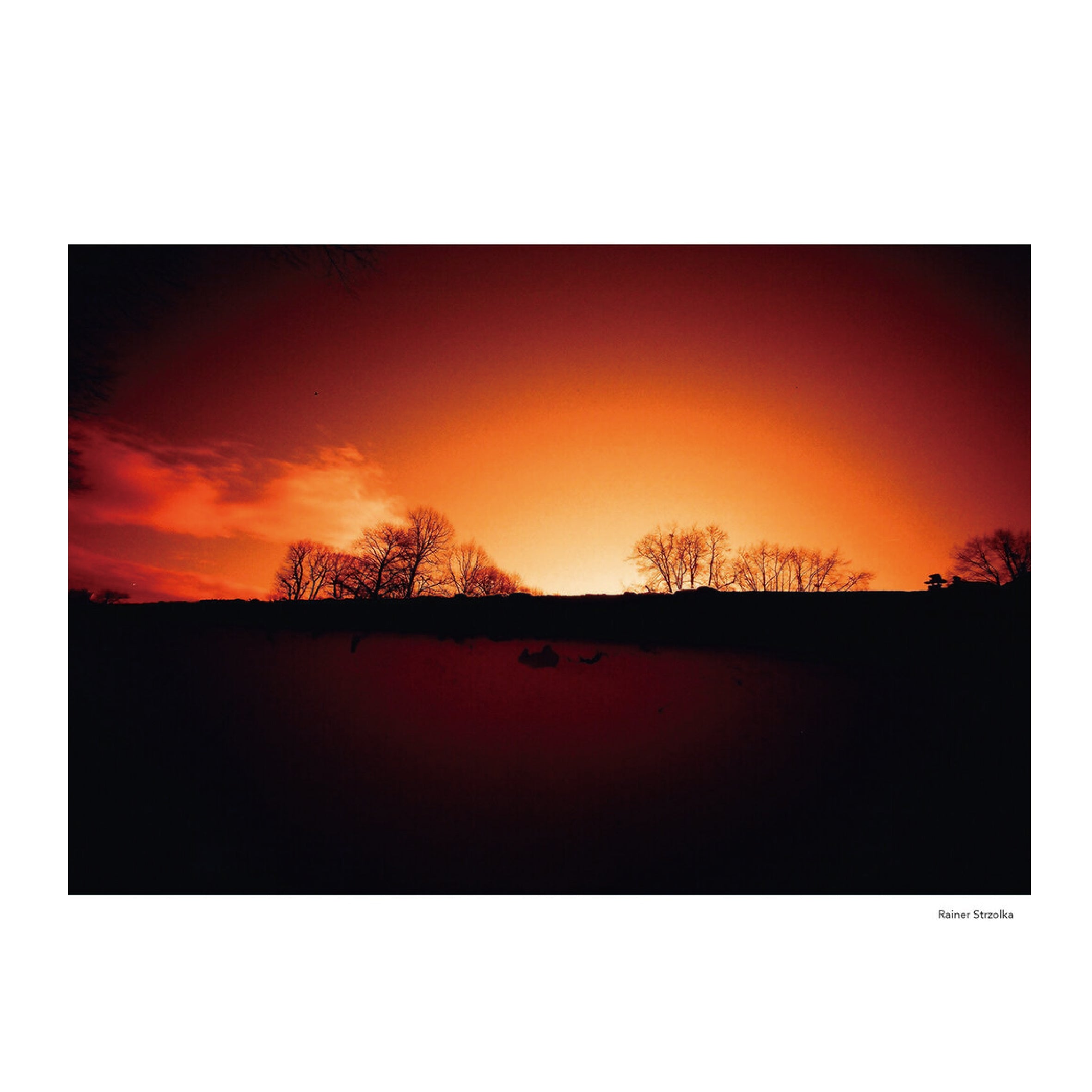 KONO! Rotwild No2 35mm Redscale Film