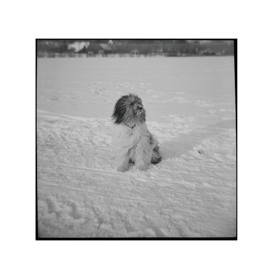 Rollei RPX100 B&W 120 Format