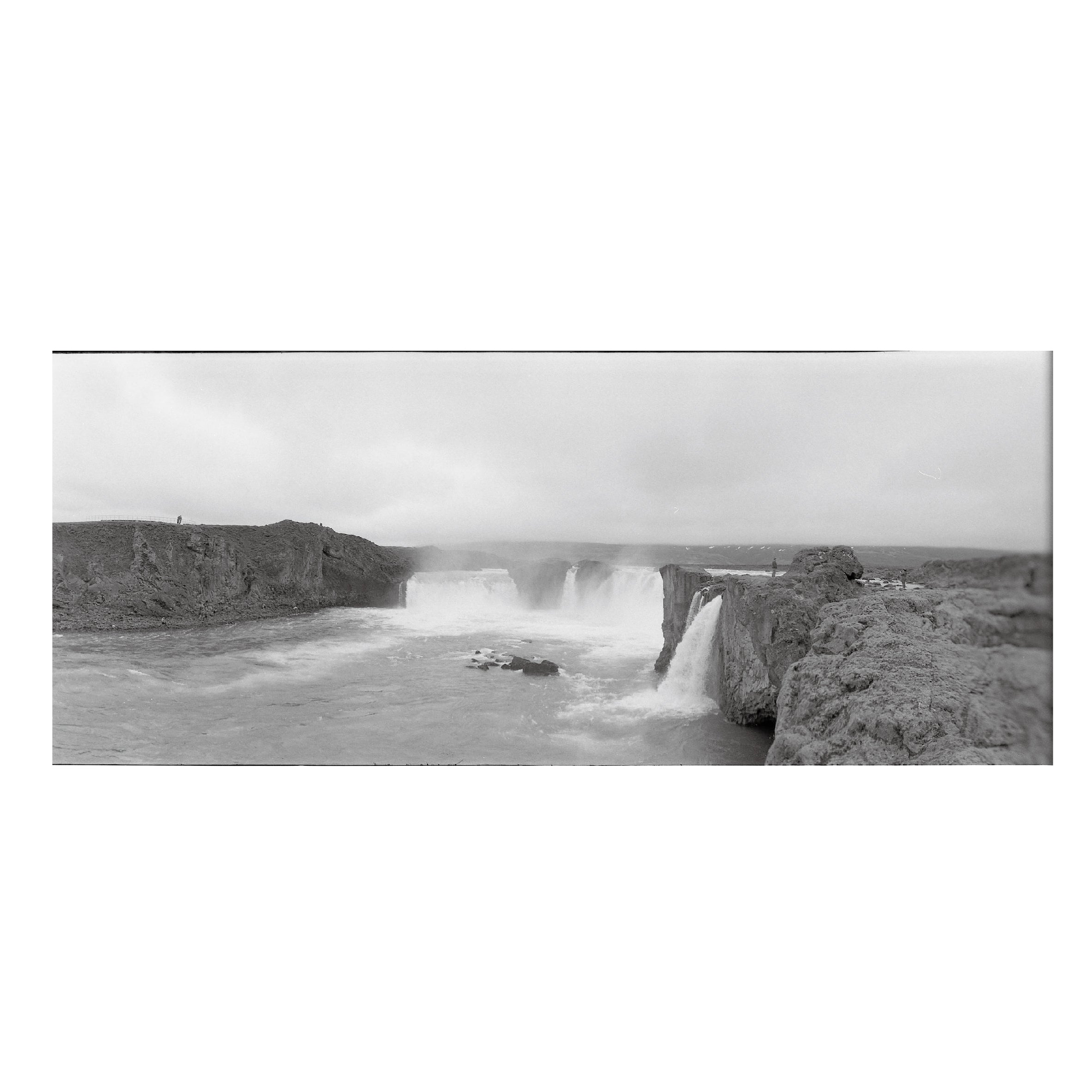 Rollei RPX 100