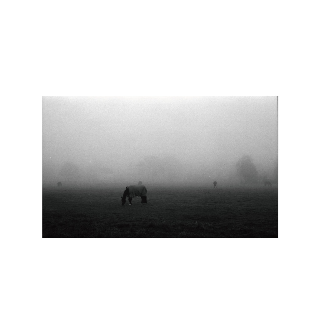 Rollei RPX 100
