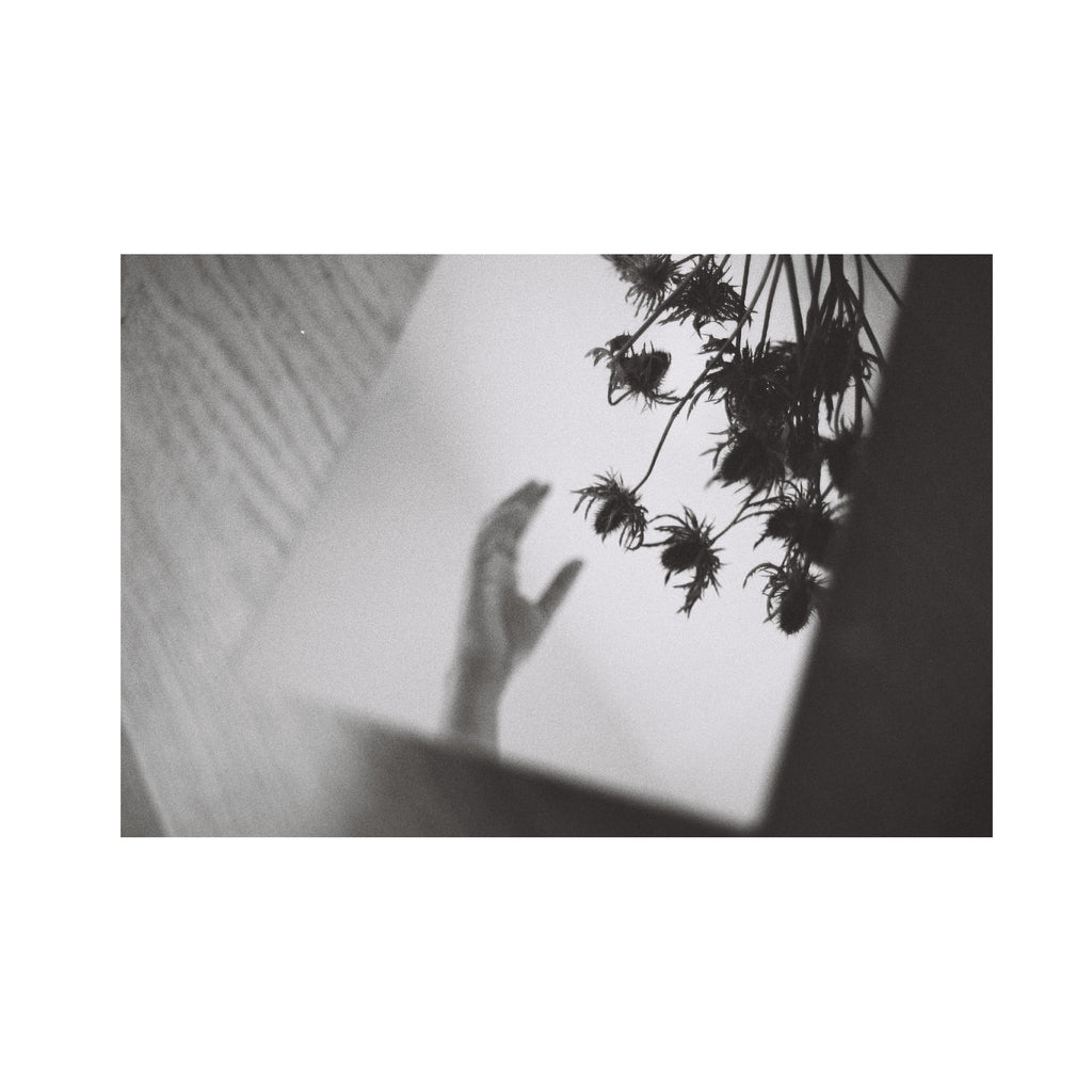 Rollei RPX 400