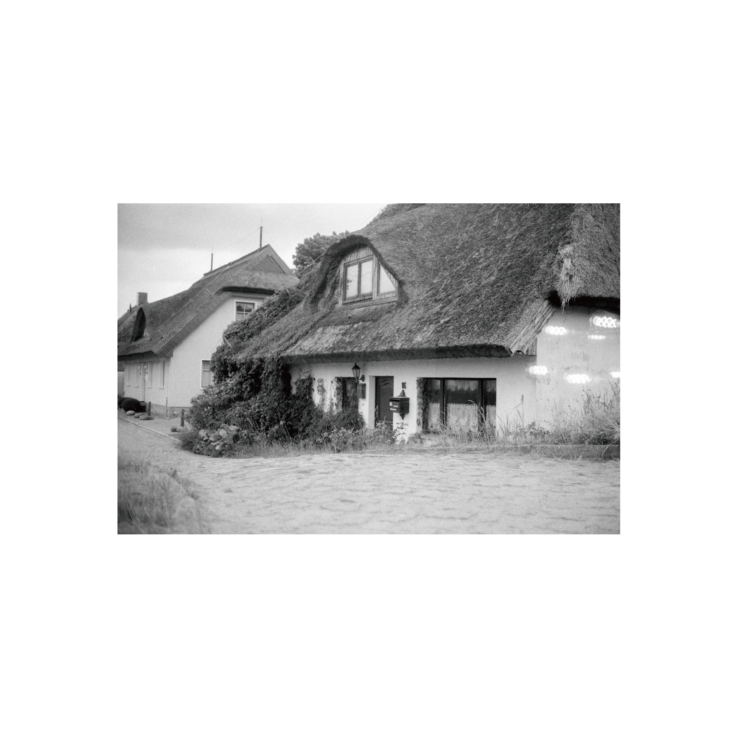 Oriental Seagull 100