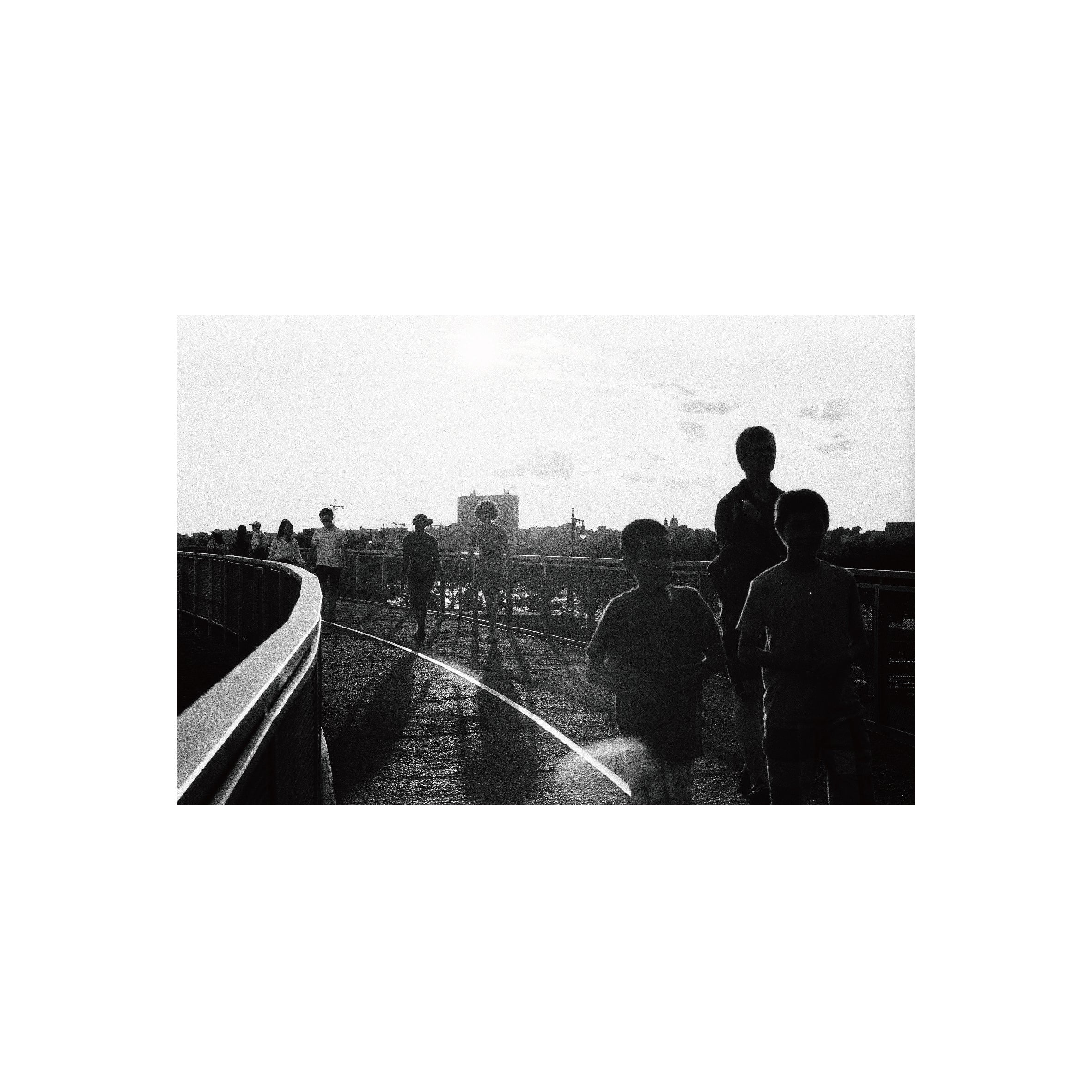 Oriental Seagull 100