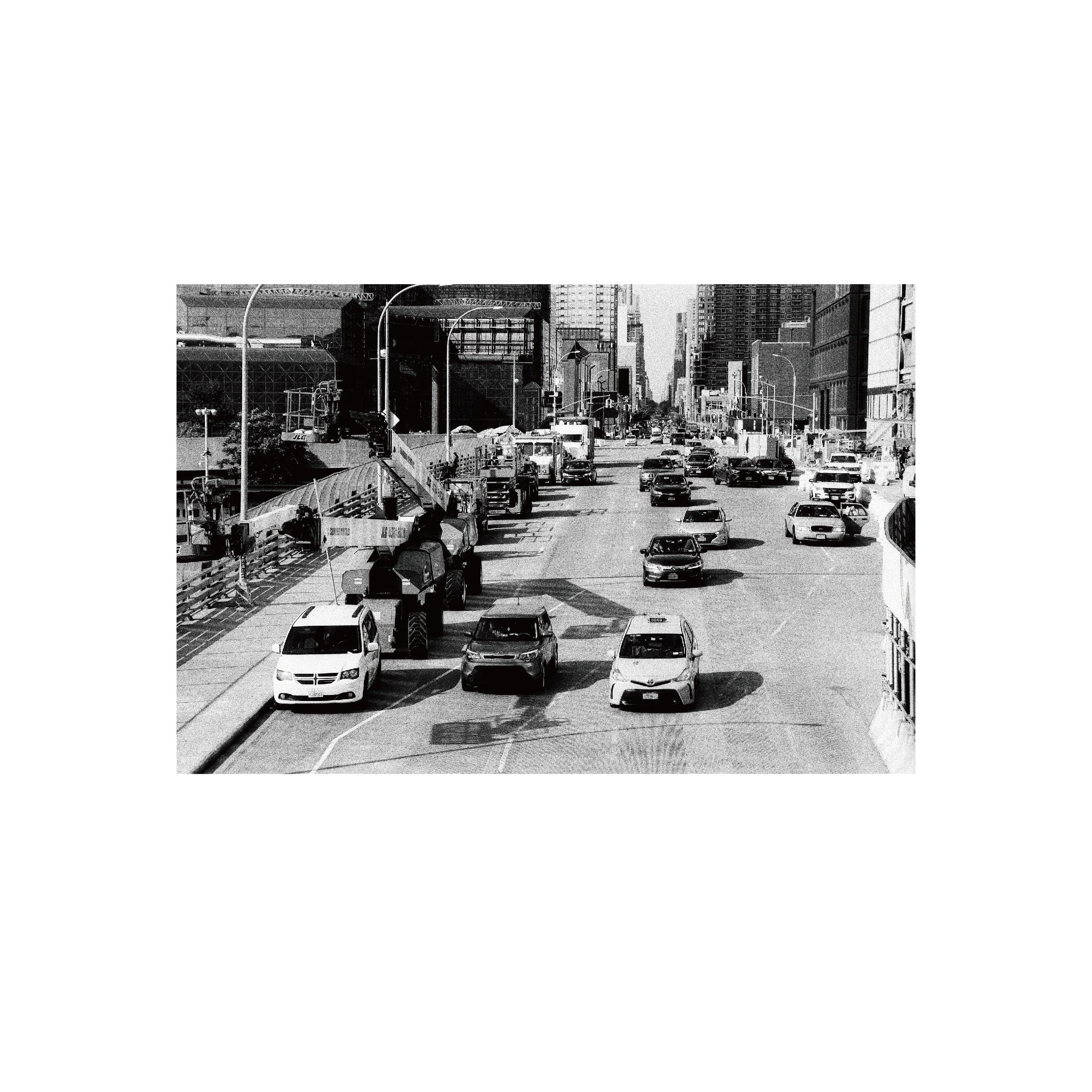 Oriental Seagull 100