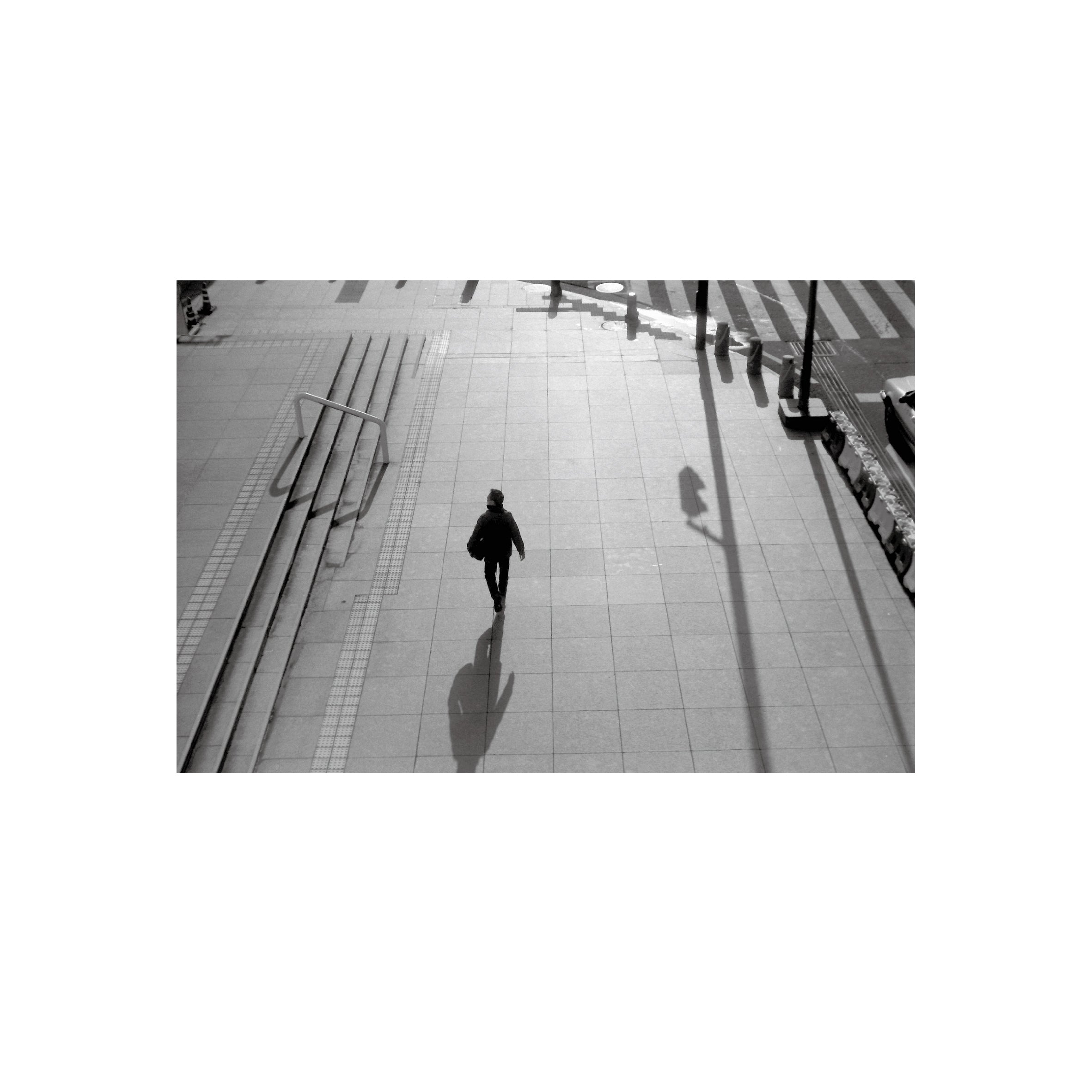 Oriental Seagull 100