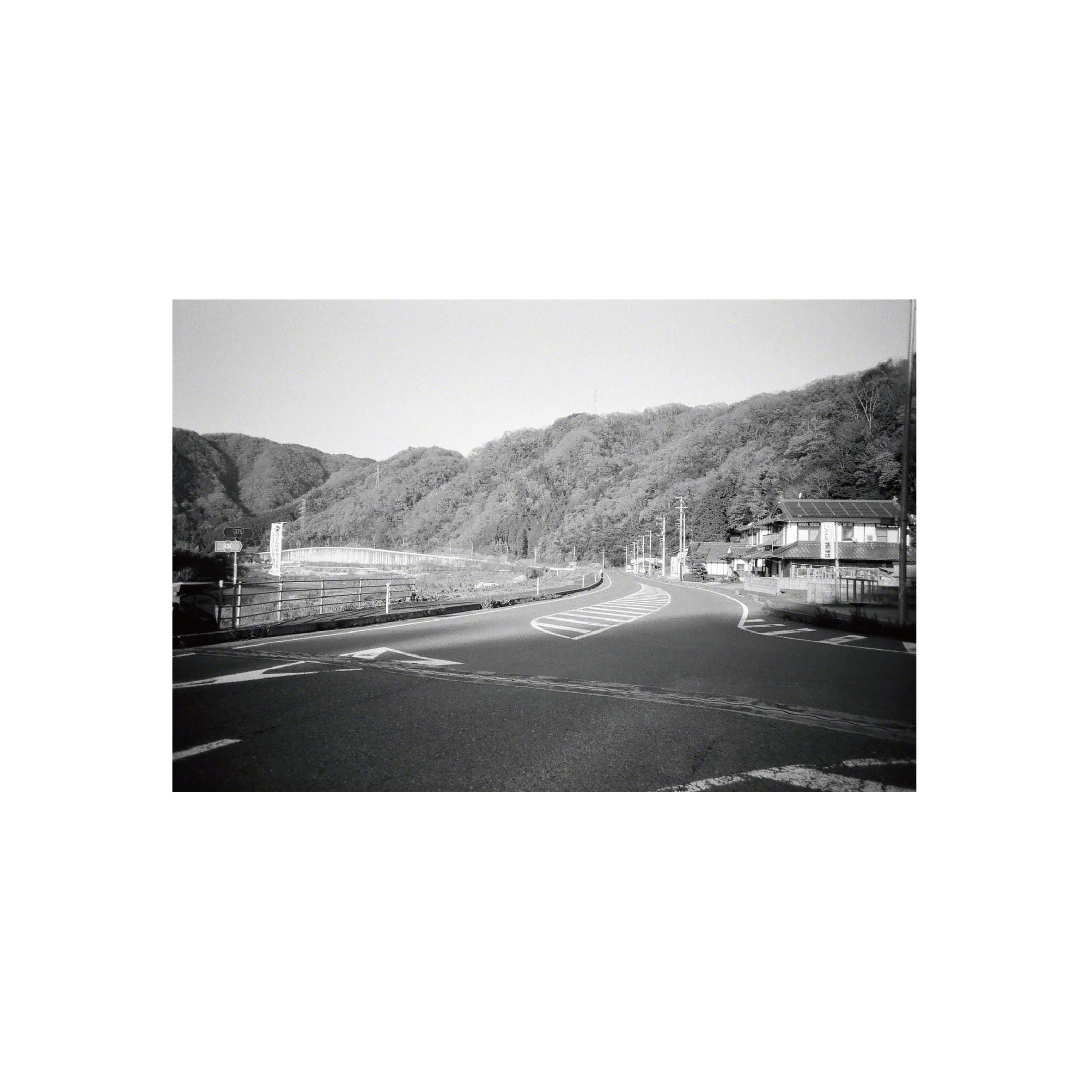 Oriental Seagull 100