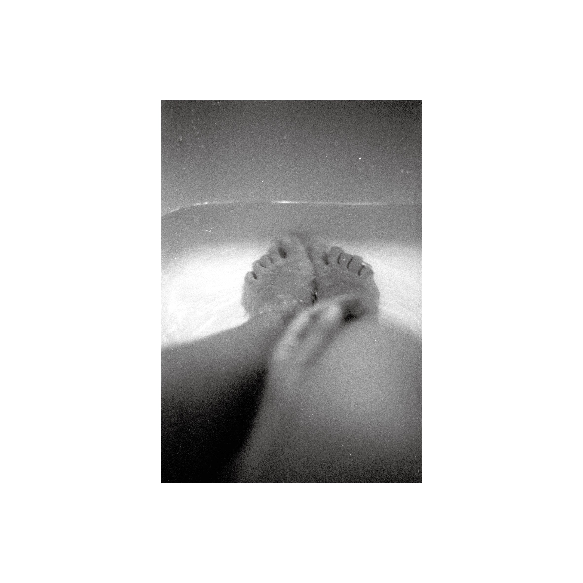 Oriental Seagull 100