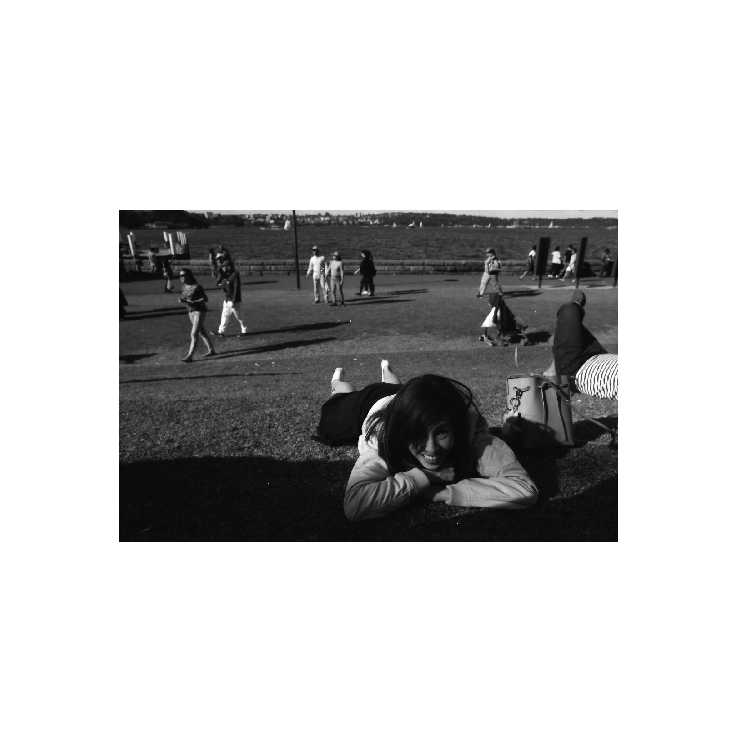 Oriental Seagull 400