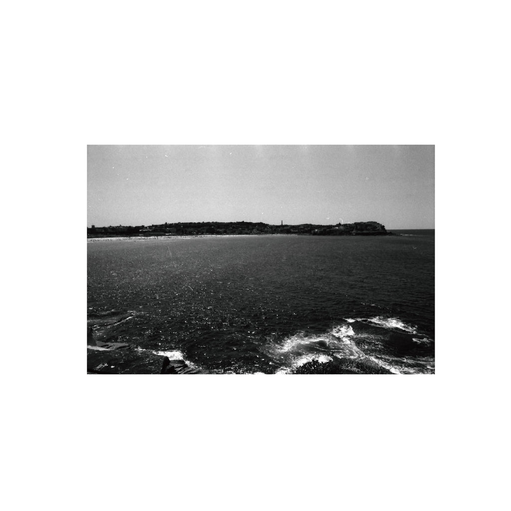 Oriental Seagull 400