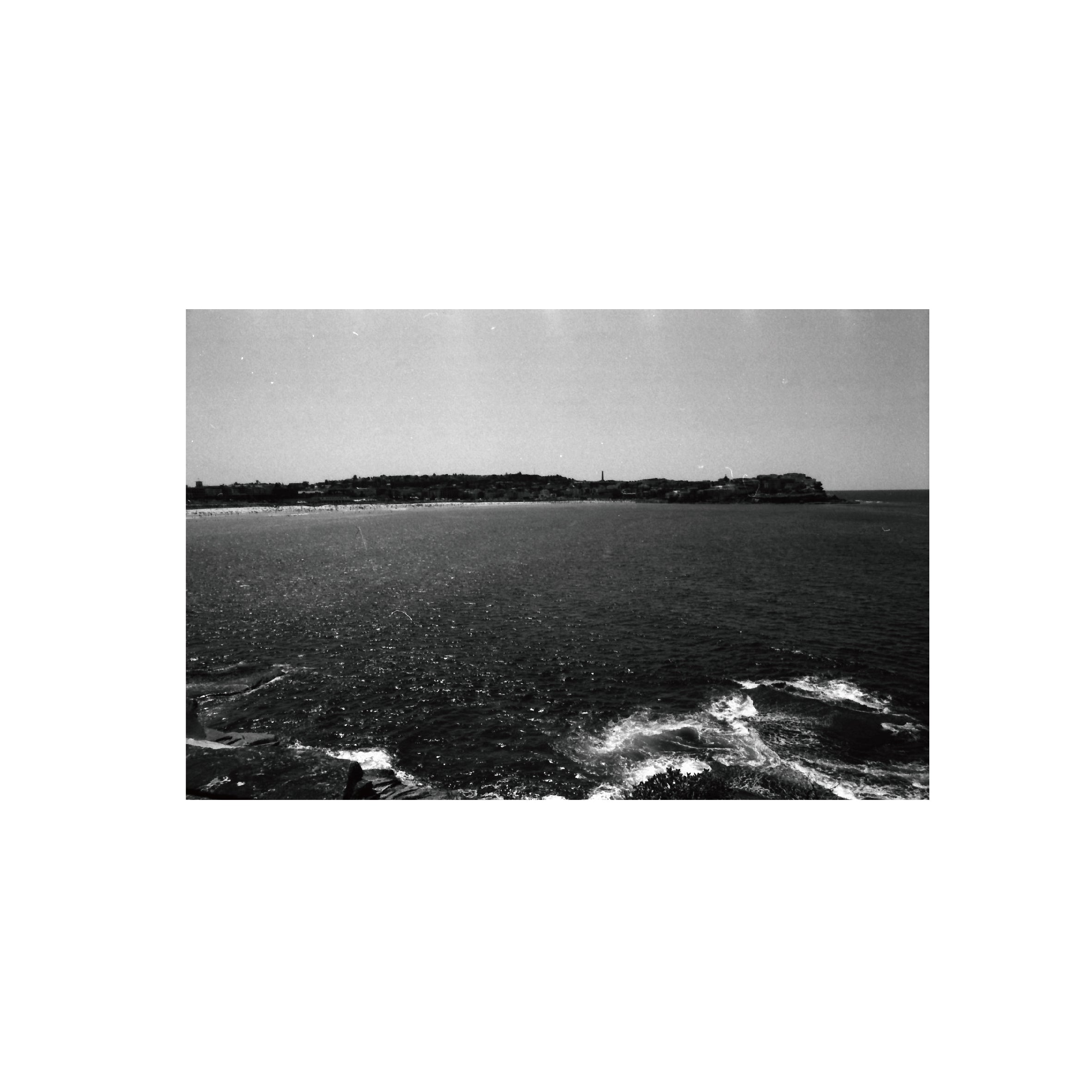 Oriental Seagull 400