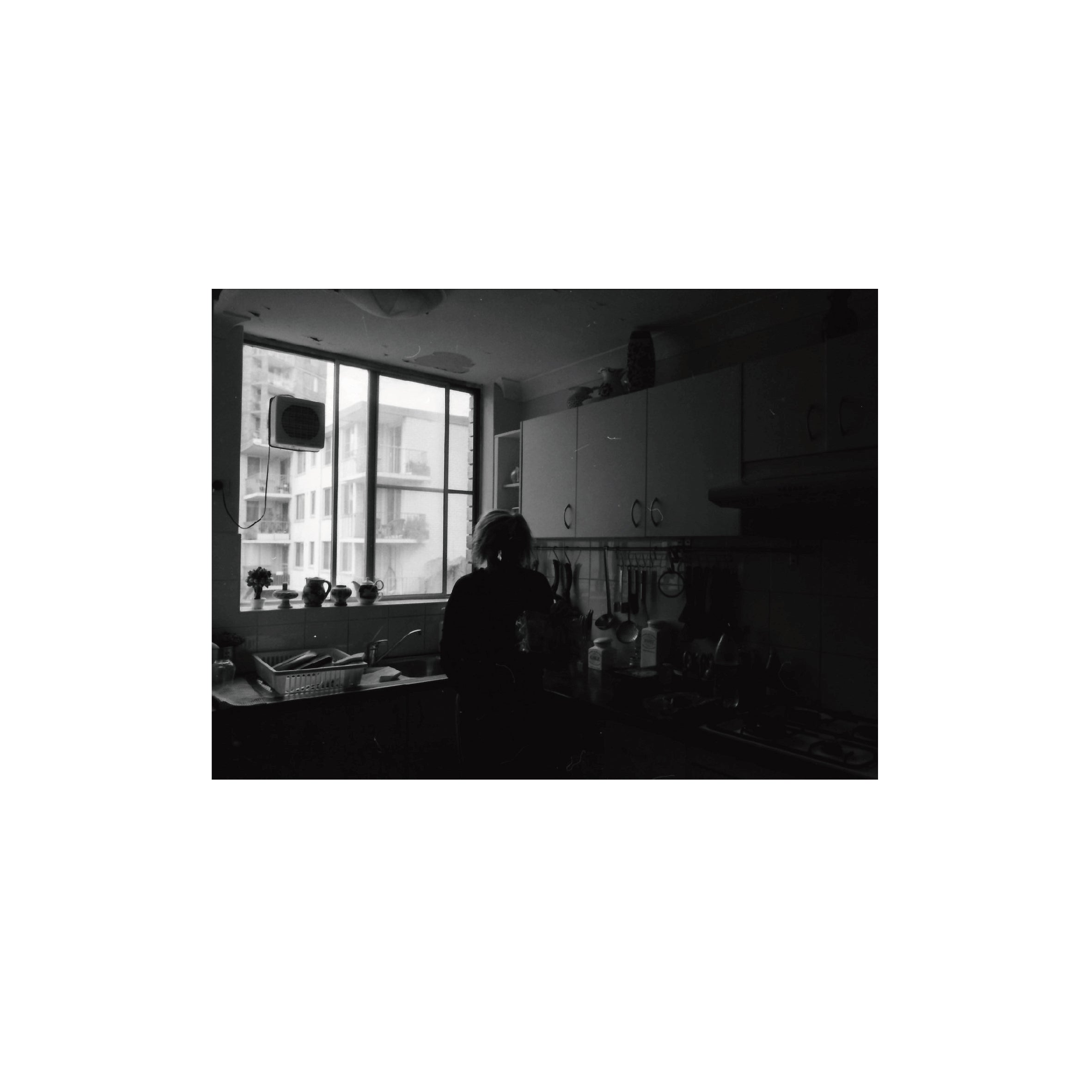 Oriental Seagull 400