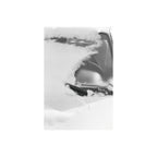 Oriental Seagull 400