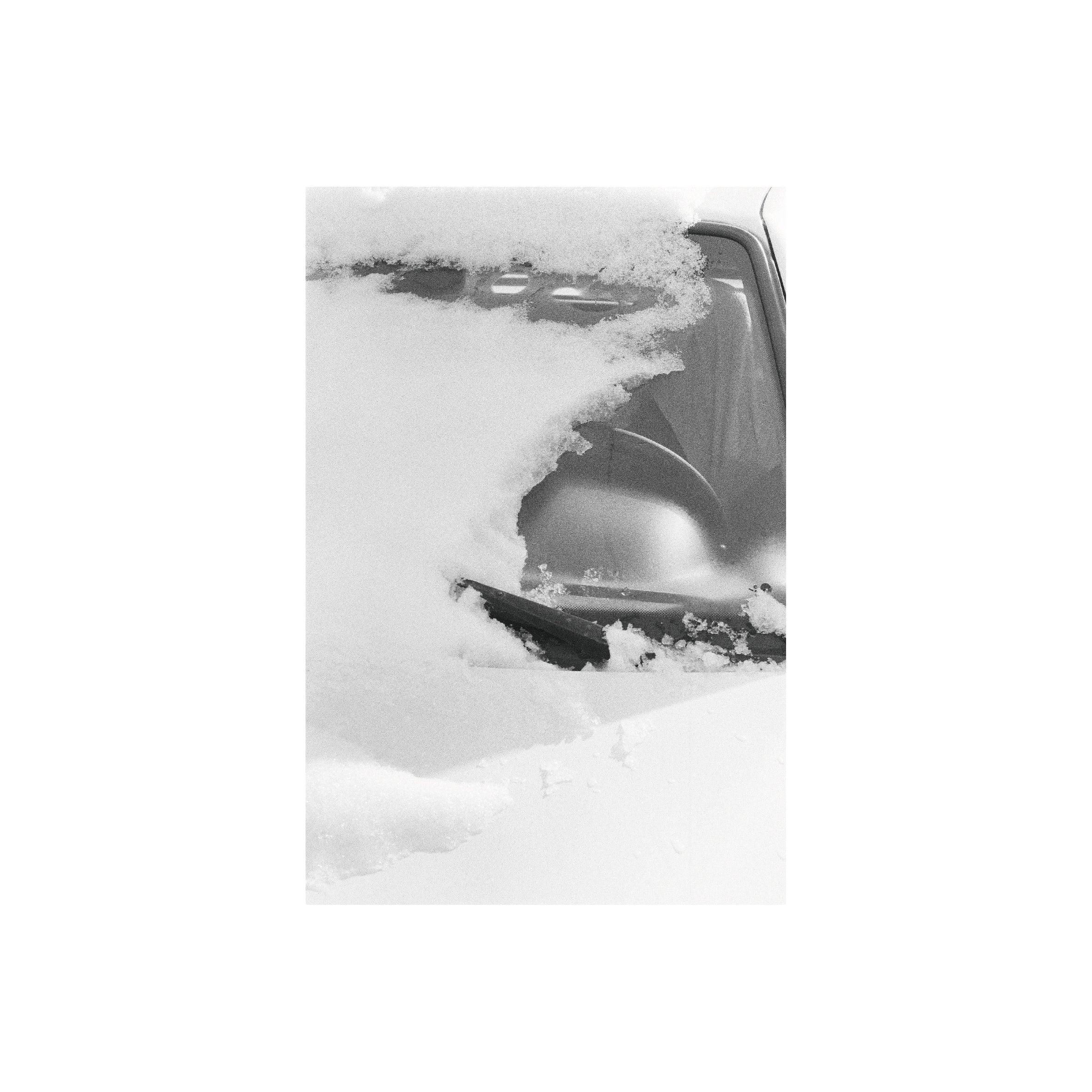 Oriental Seagull 400