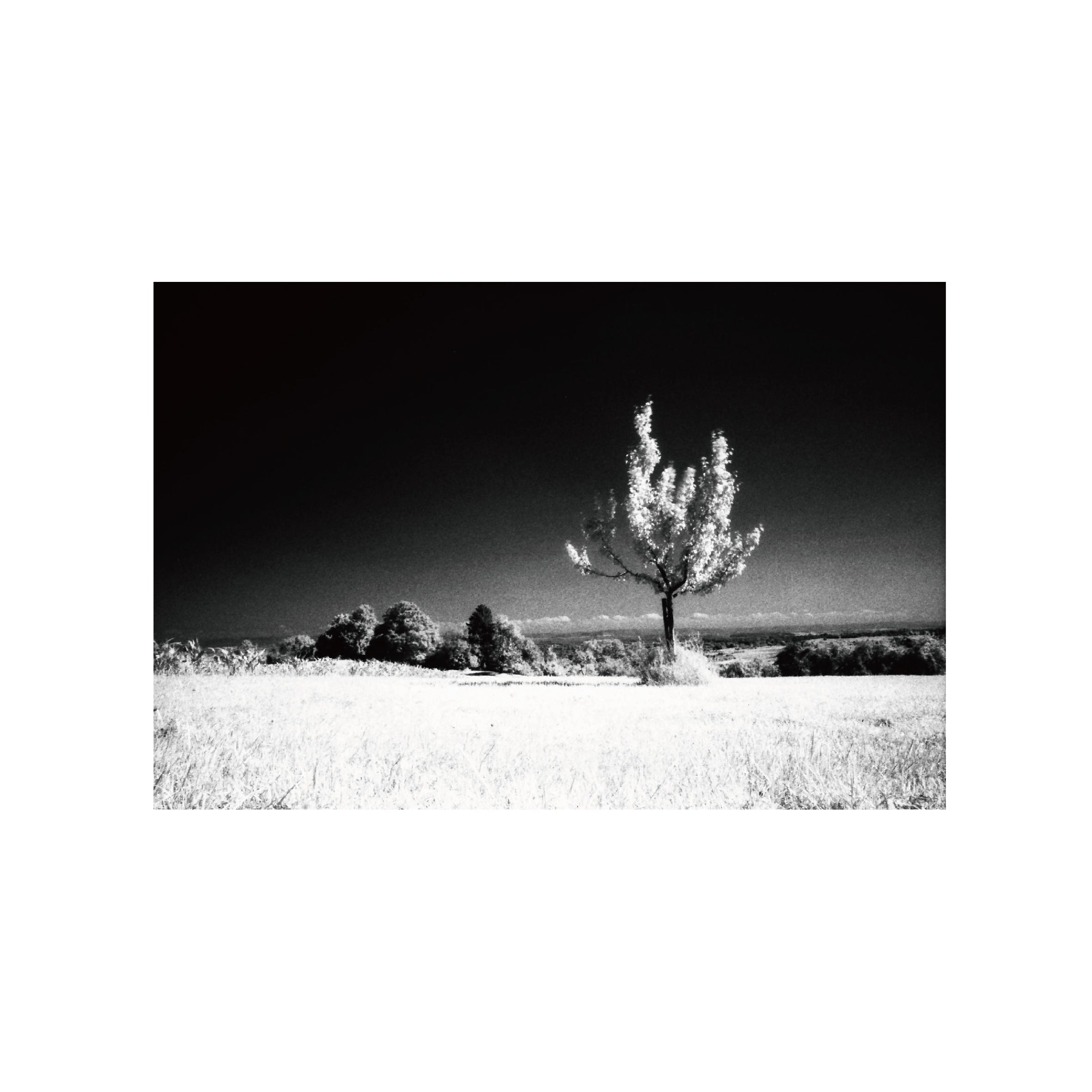 Ilford SFX200