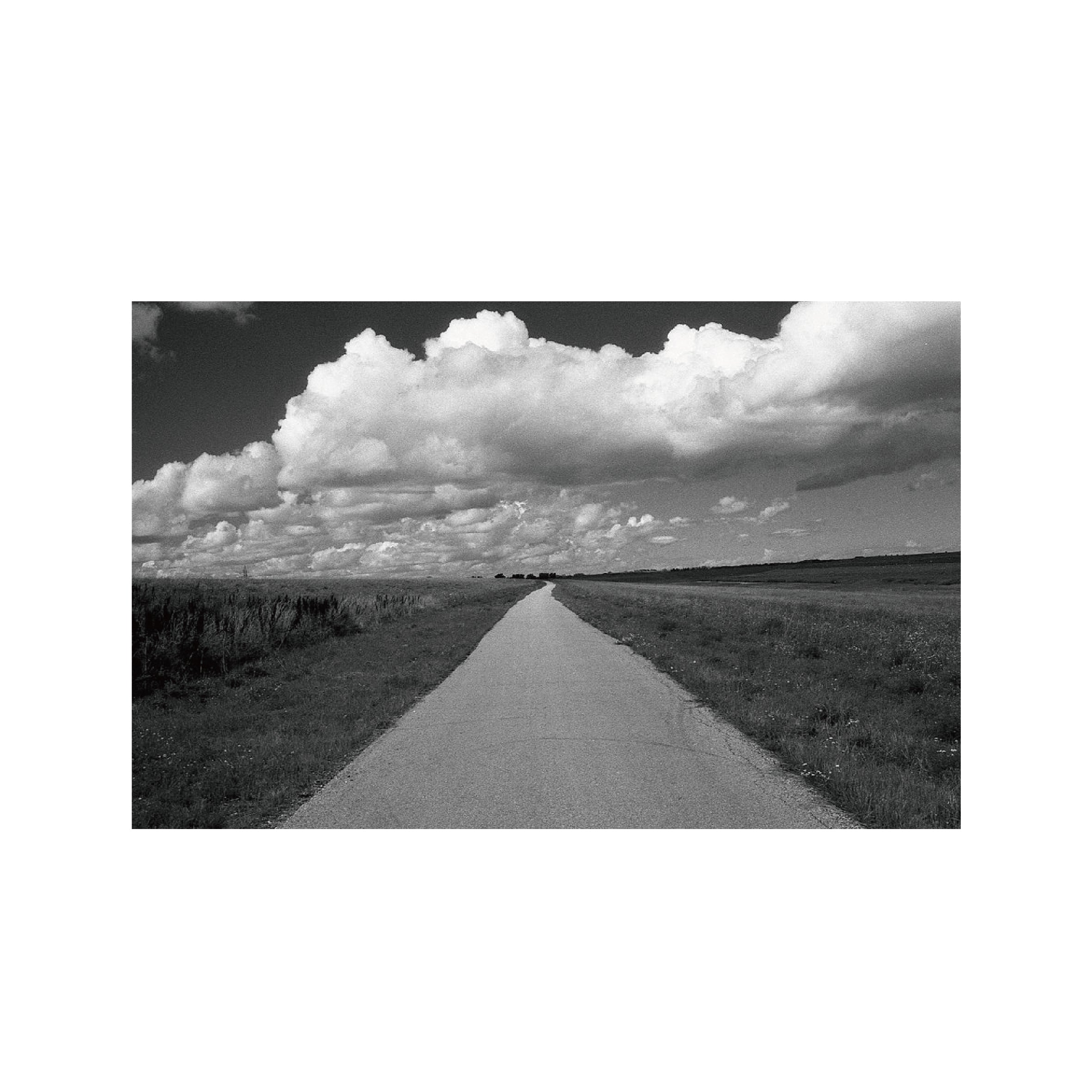 Ilford SFX200