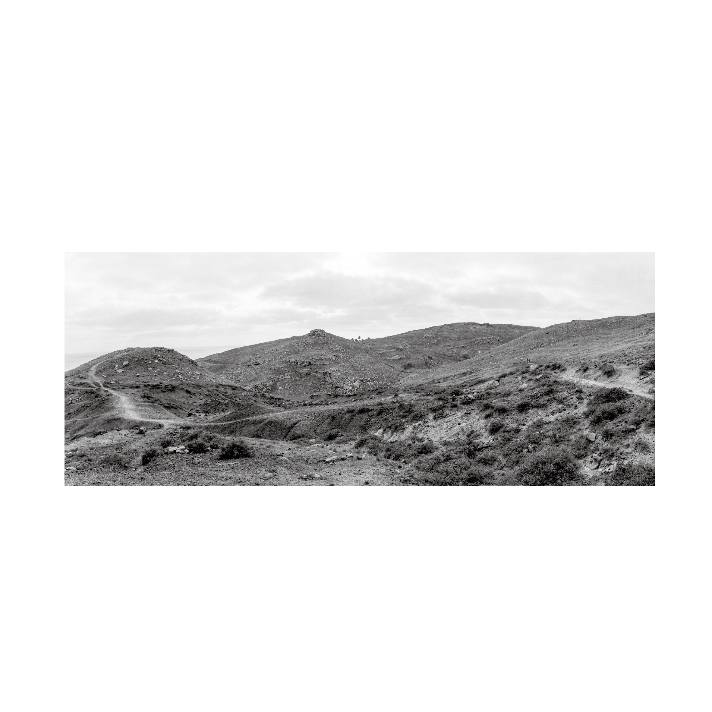 Silberra Ultima Pan 100