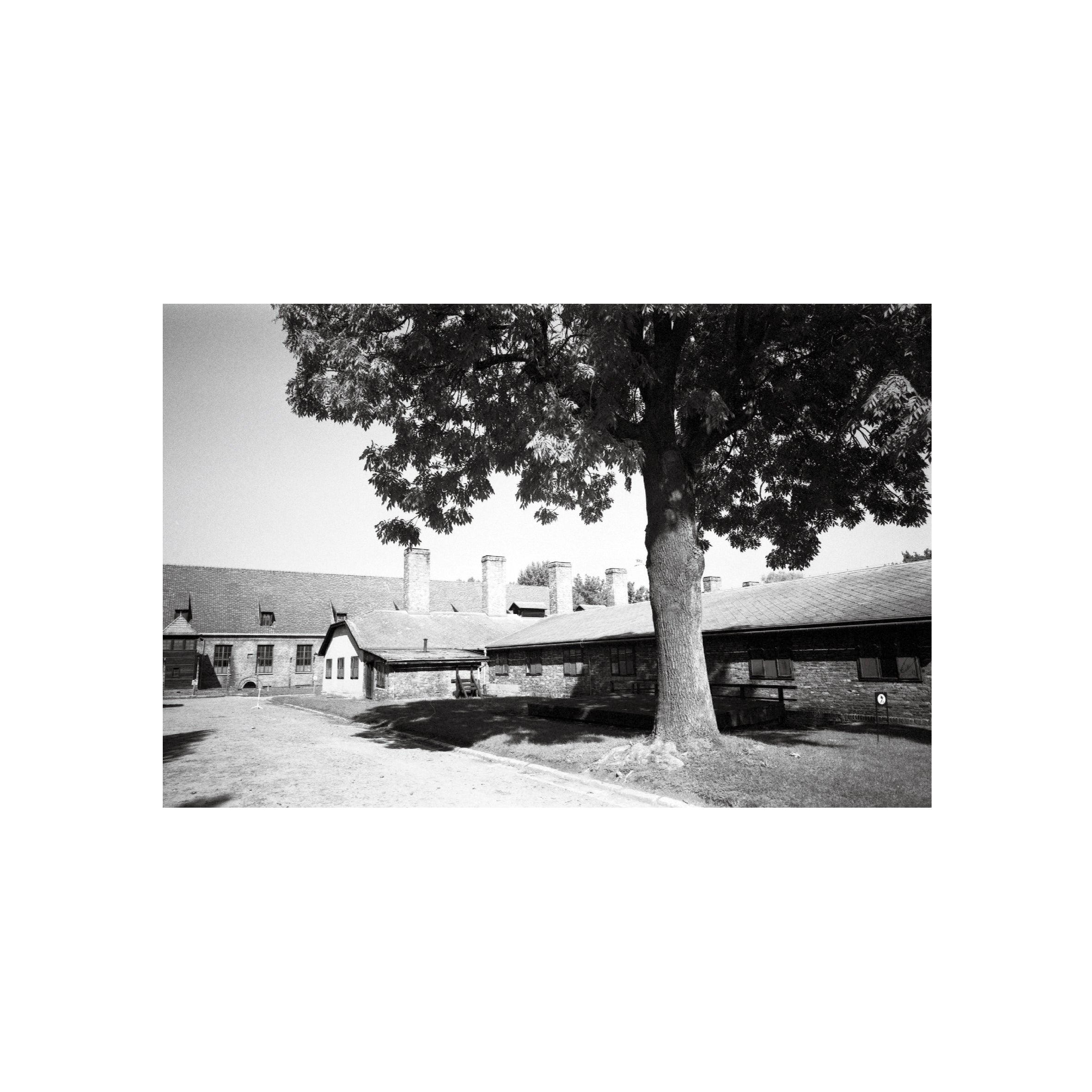 Silberra Ultima Pan 100