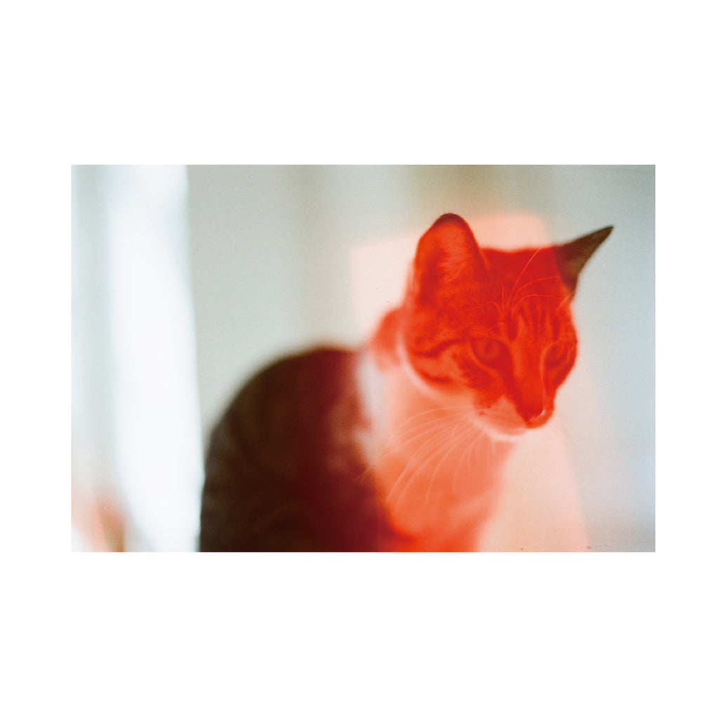 Dubblefilm Solar 200
