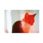 Dubblefilm Solar 200