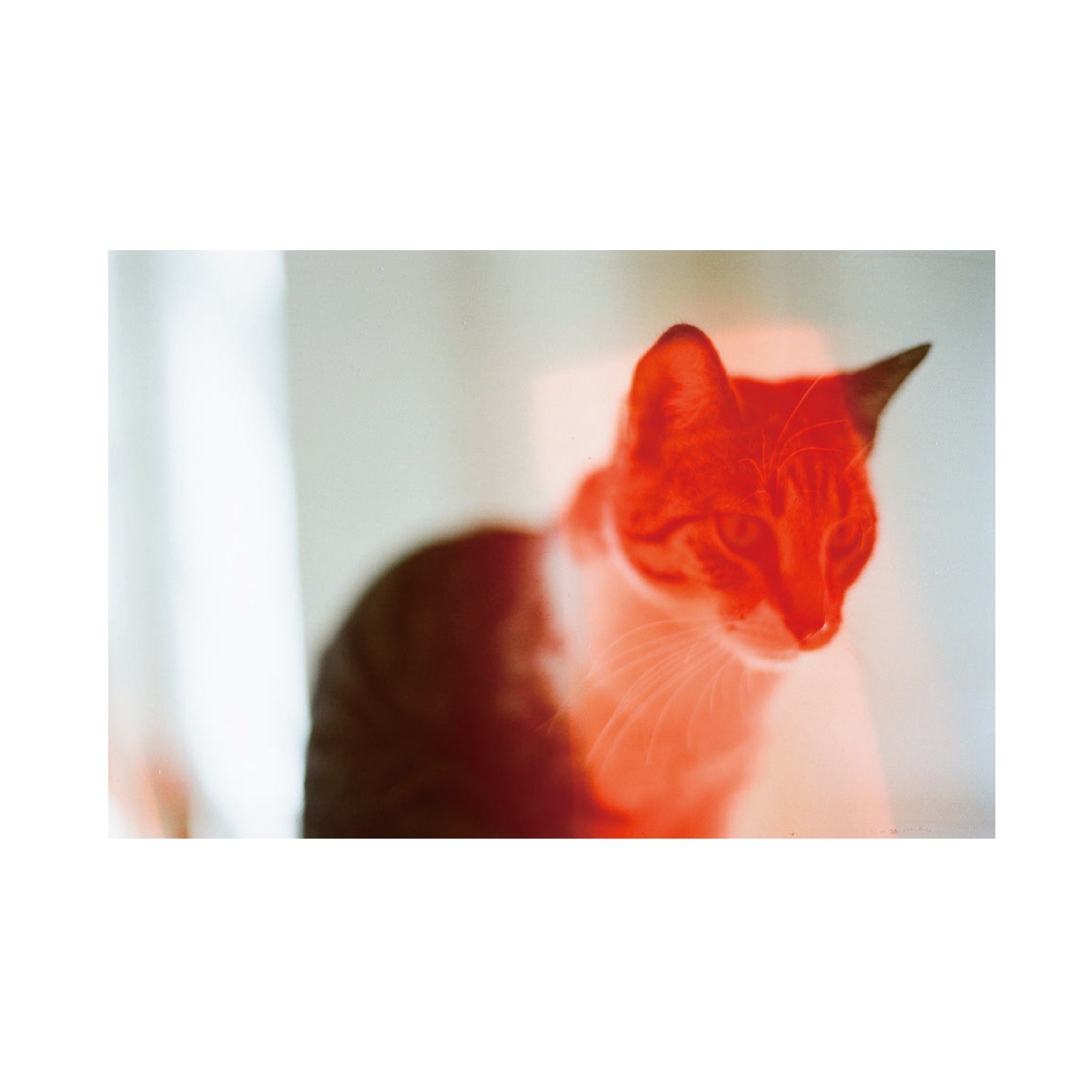 Dubblefilm Solar 200