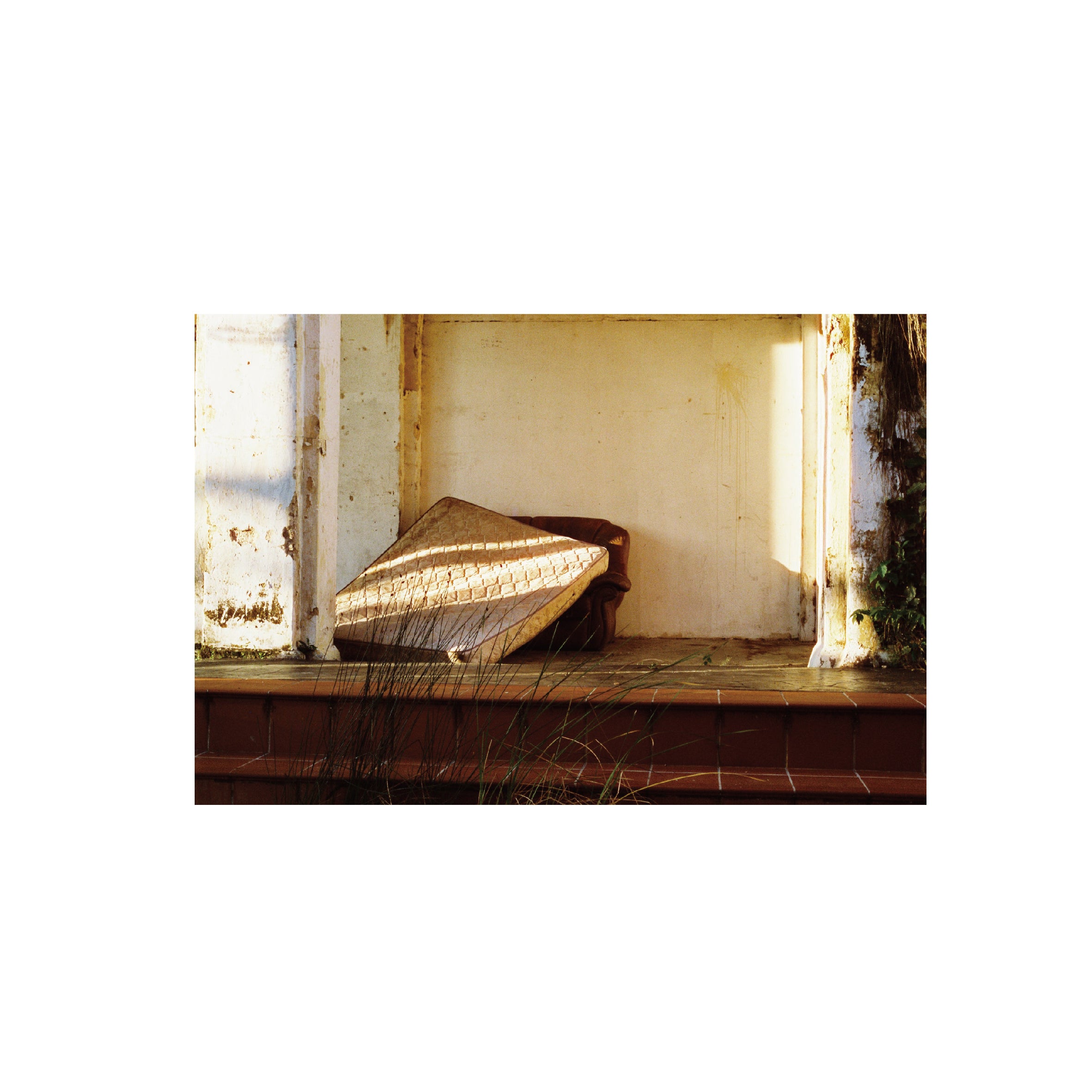 Film Never Die SORA 200