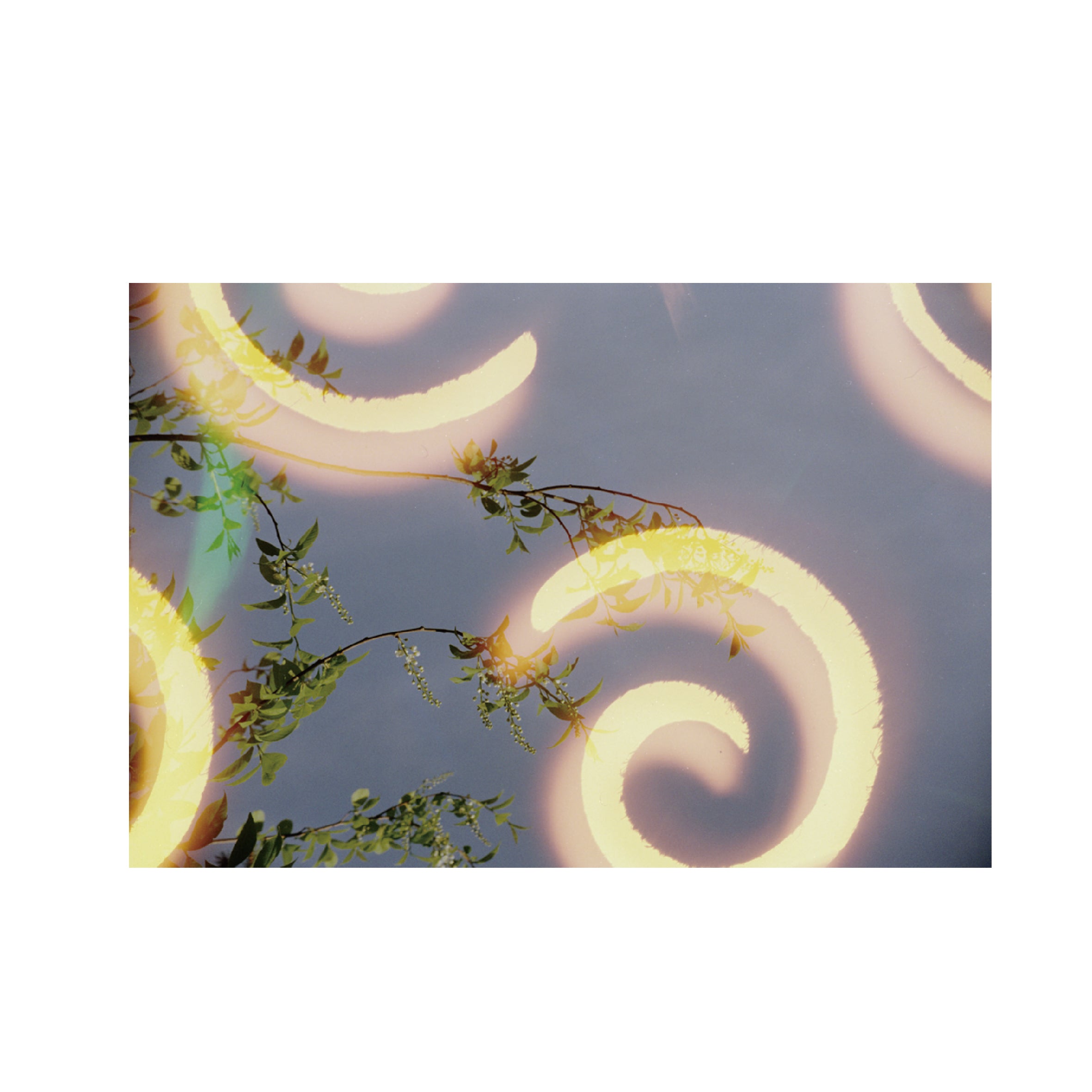 Hanalogital Spirals 200