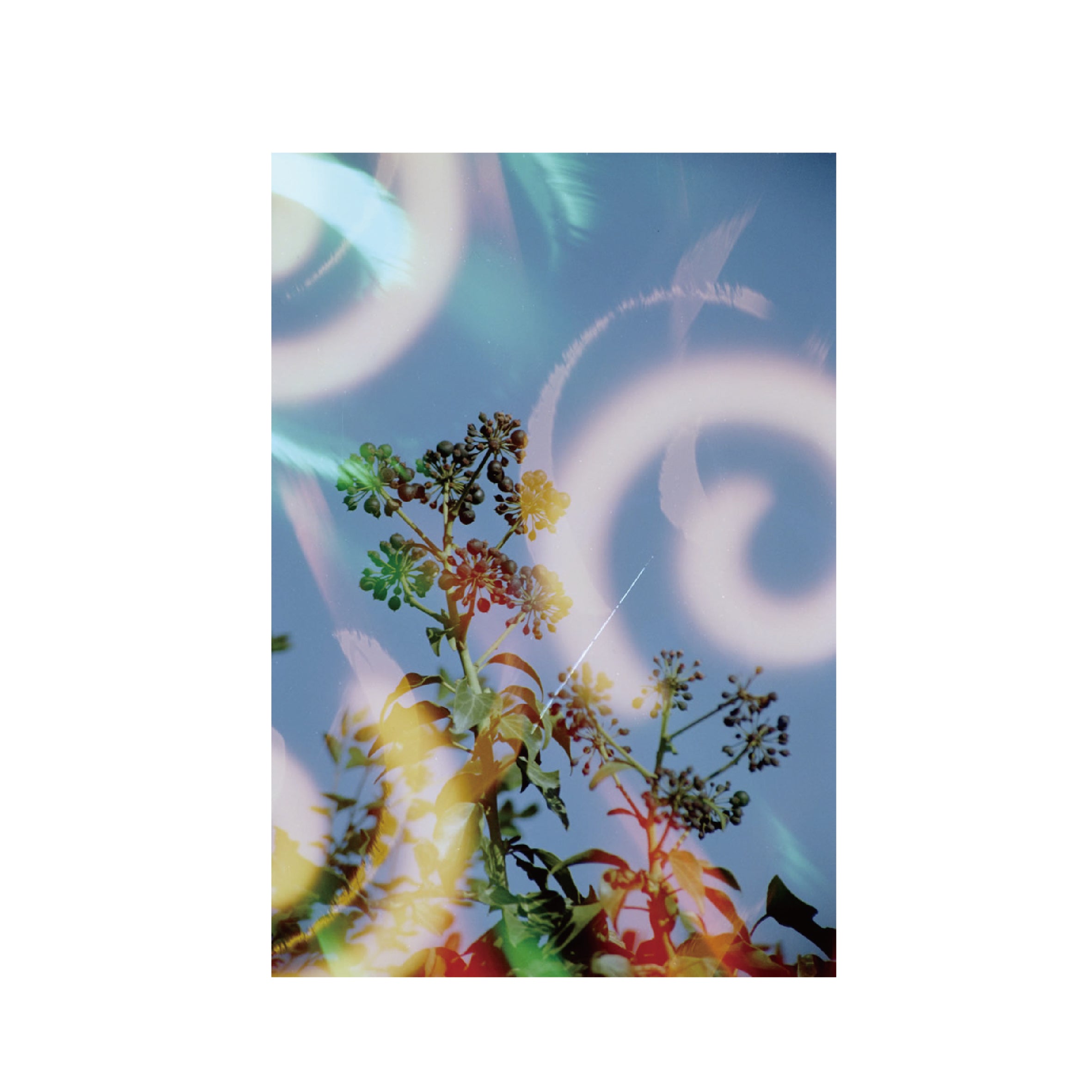 Hanalogital Spirals 200