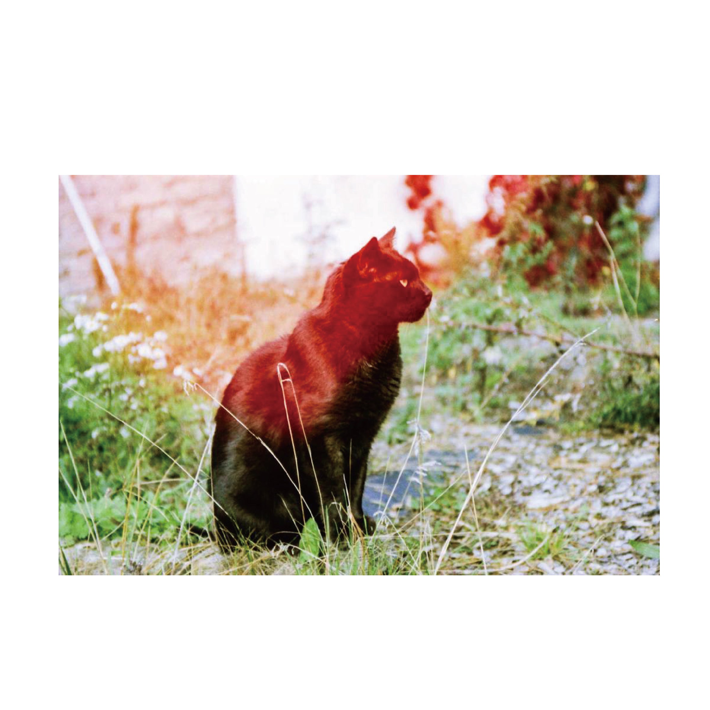 KONO! Original Sunstroke 100-400