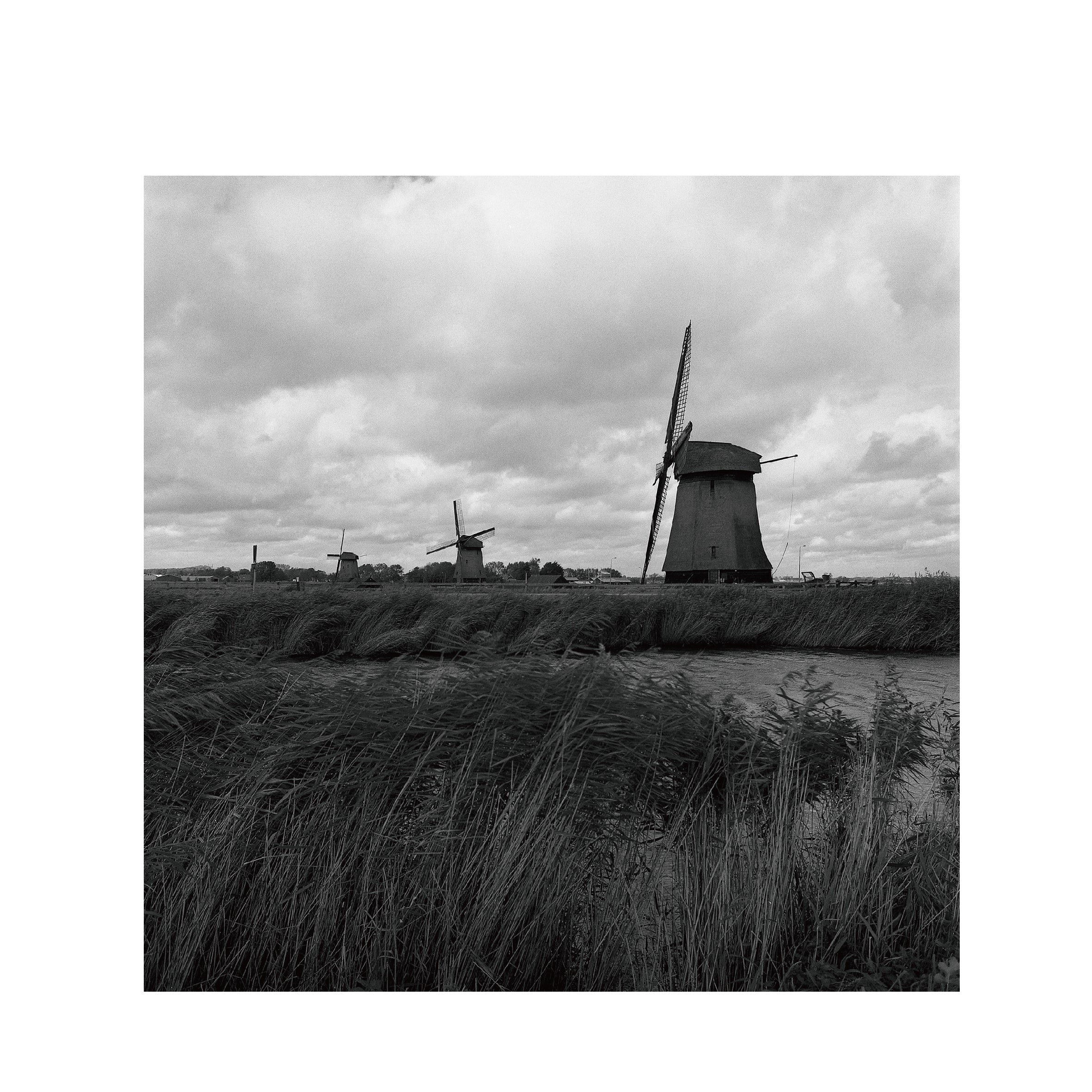 Rollei Superpan200 B&W 120 Format