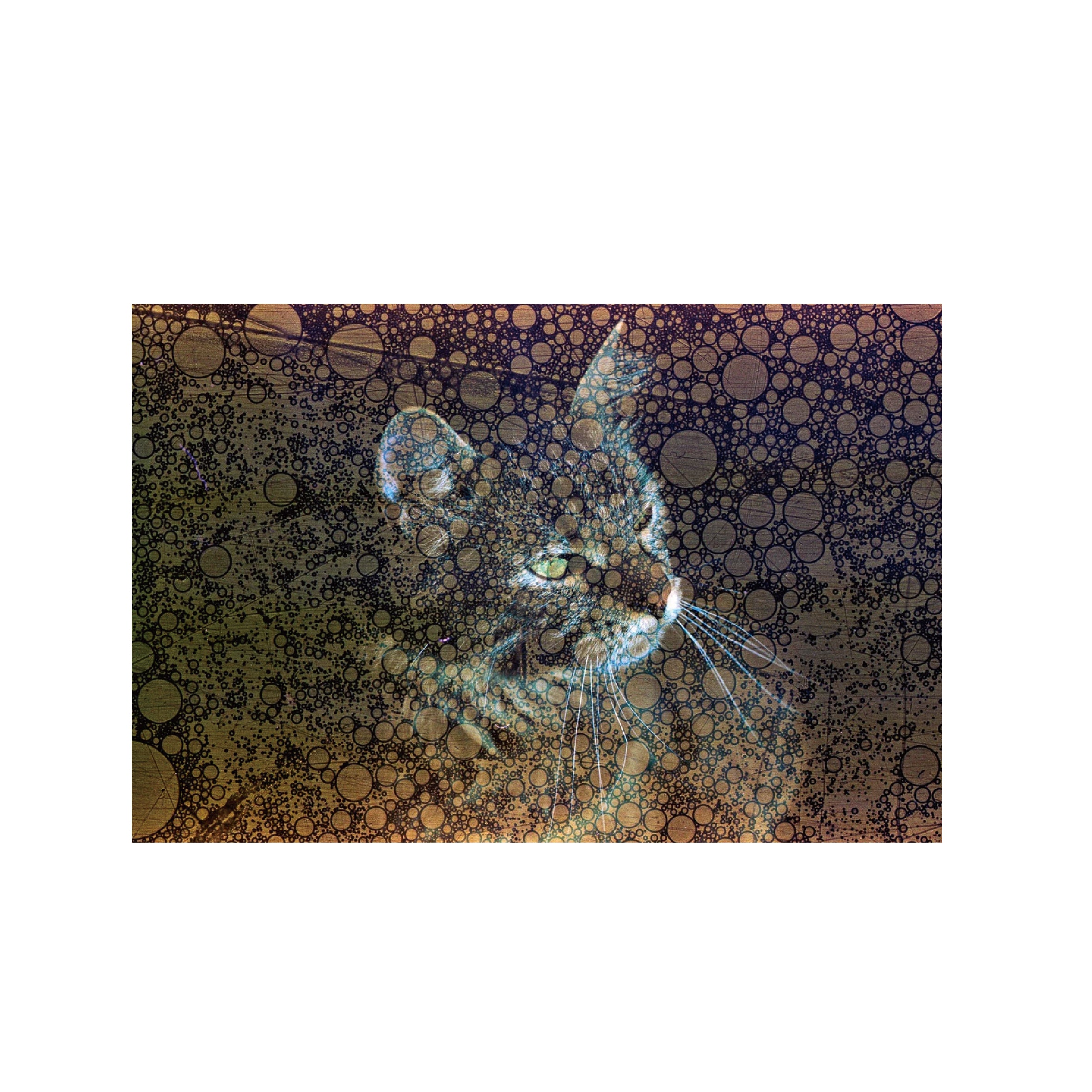 Revolog Texture 200-400