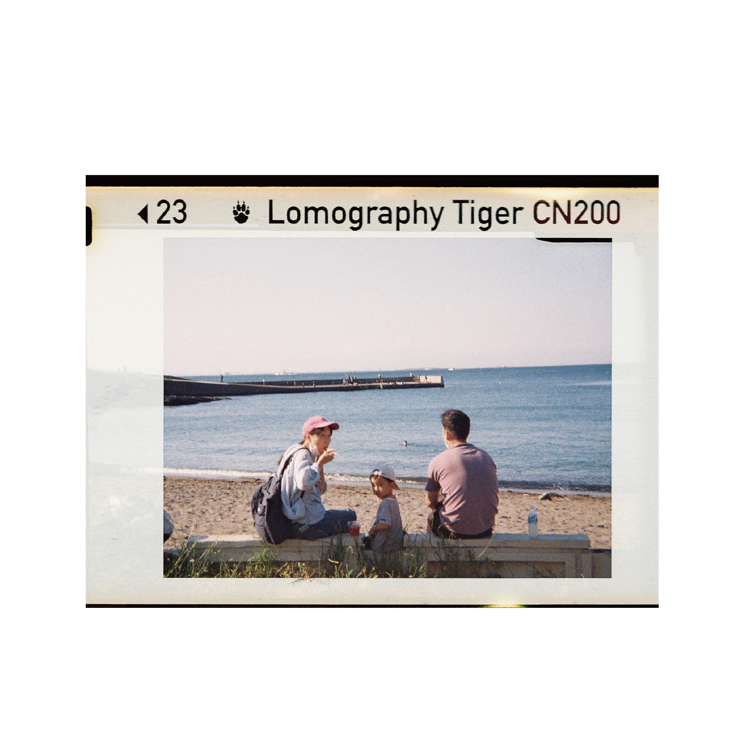 Lomography Color Tiger 200 110 format