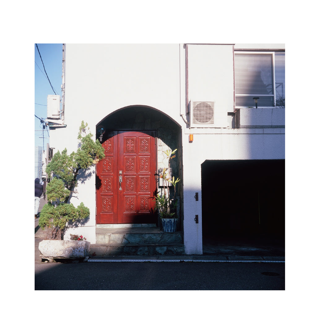 Fujifilm Fujichrome Velvia 100 120 format (5 Rolls Package)