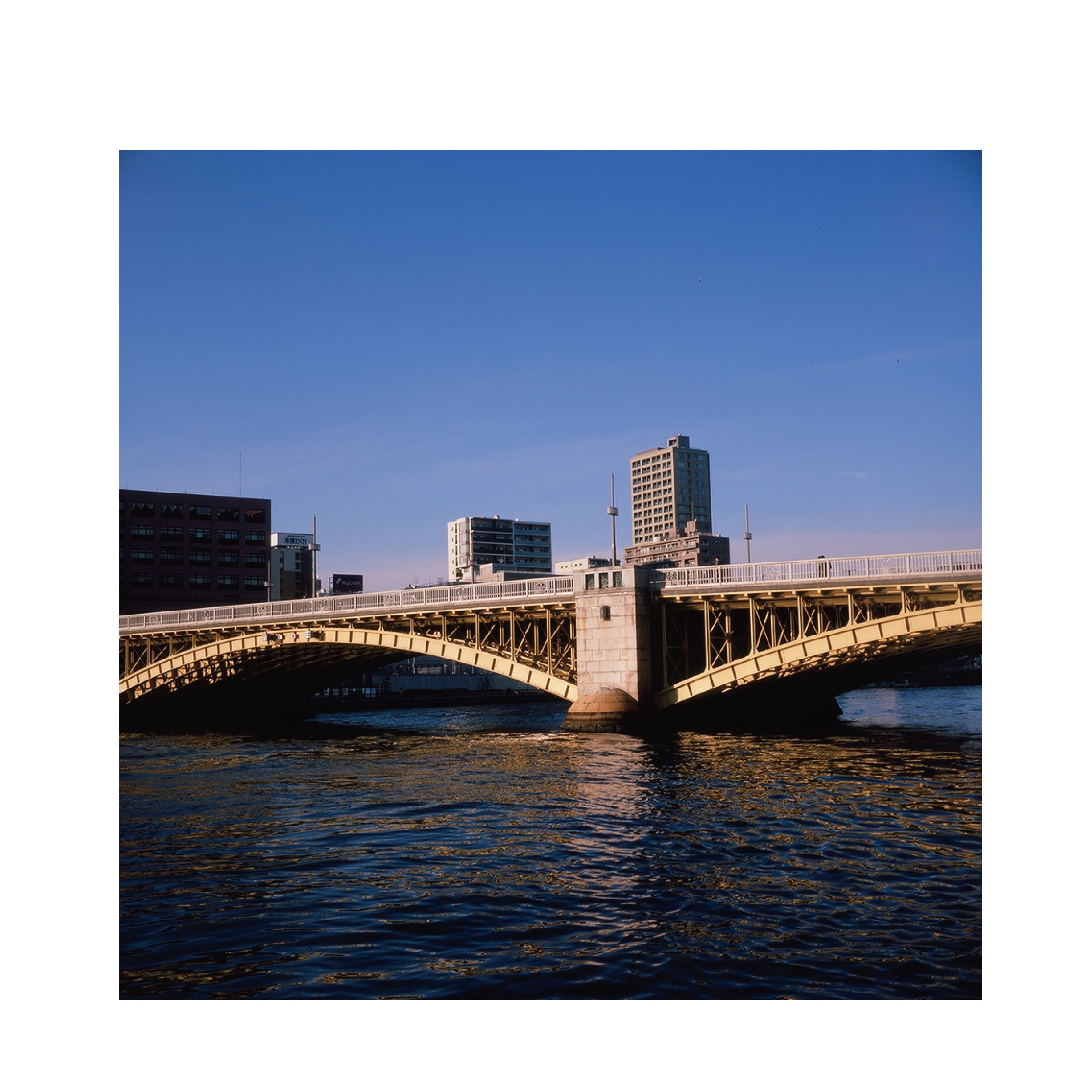 Fujifilm Fujichrome Velvia 100 120 format (5 Rolls Package)